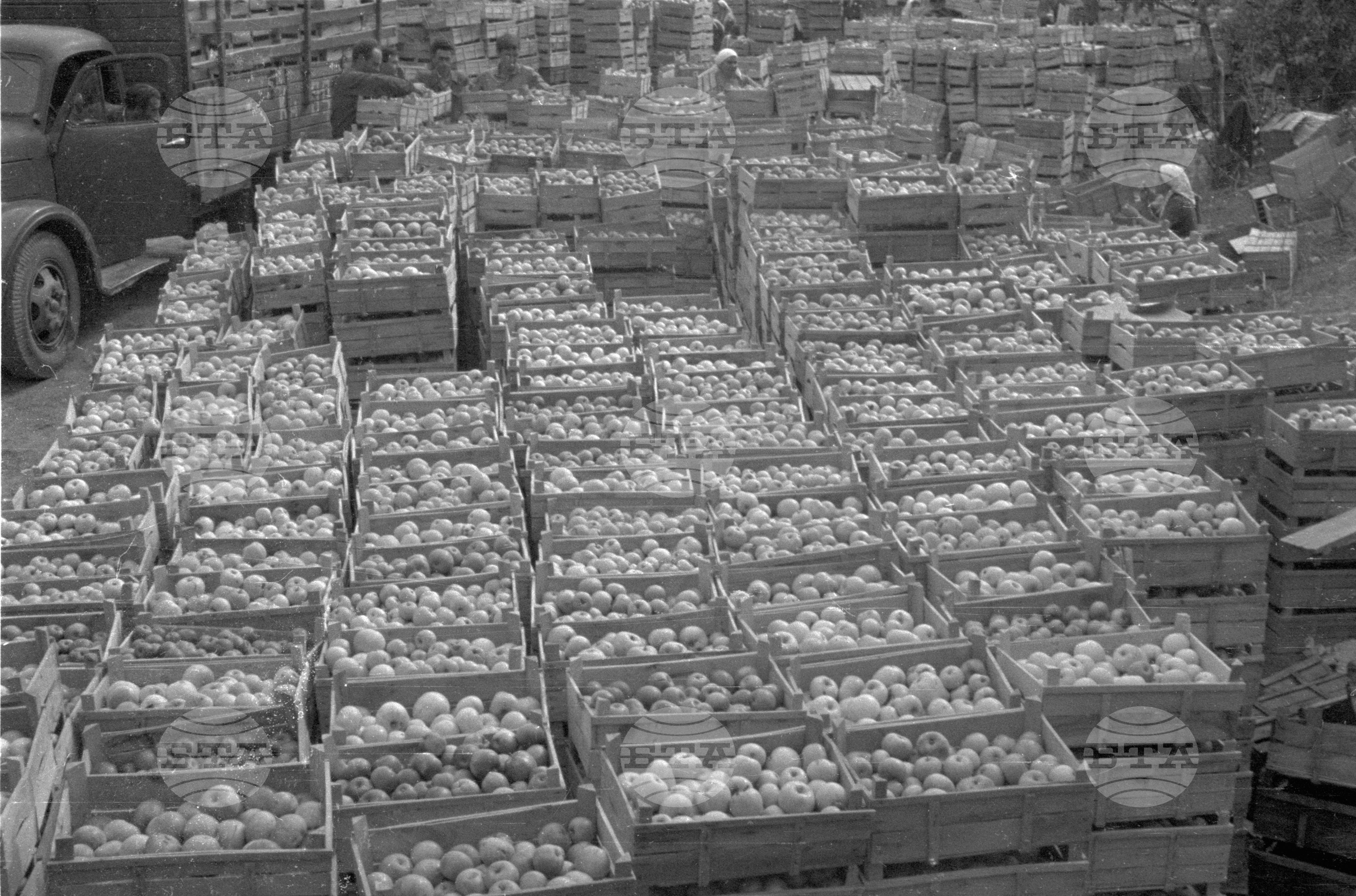 Из Кюстендилски окръг - септември 1962 година