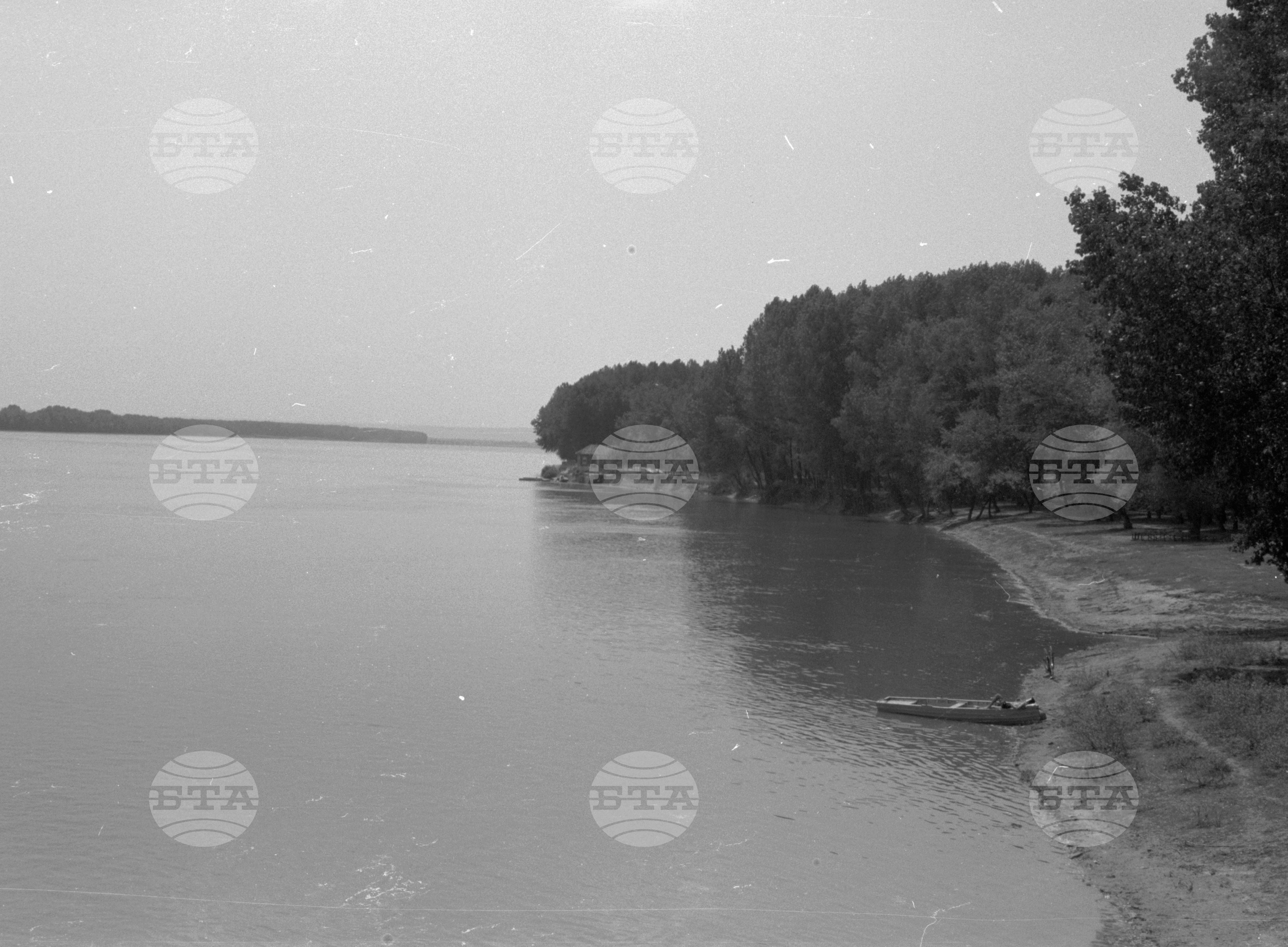 Снимки от Видински окръг - 1963