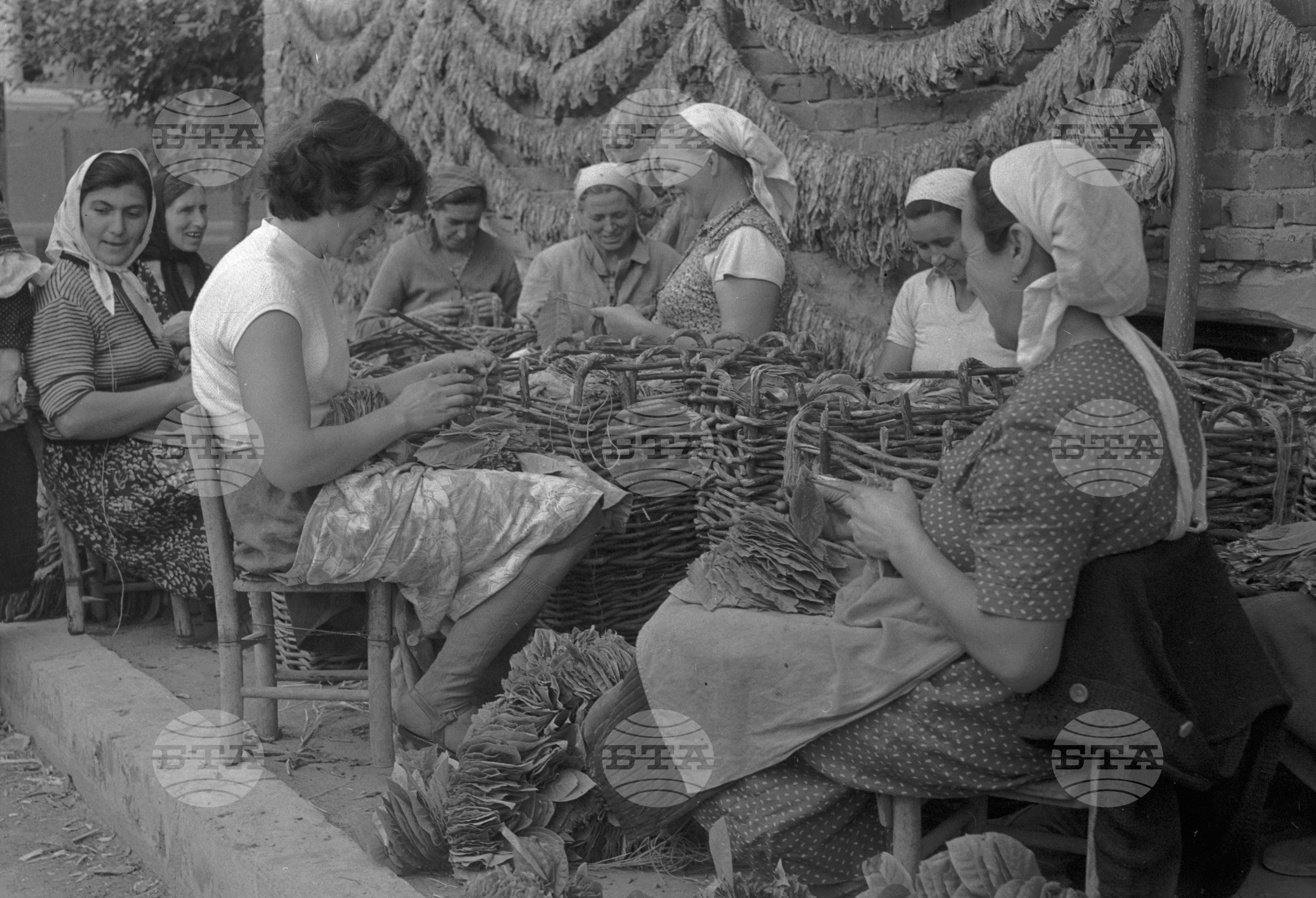 Из Кюстендилски окръг - септември 1962 година