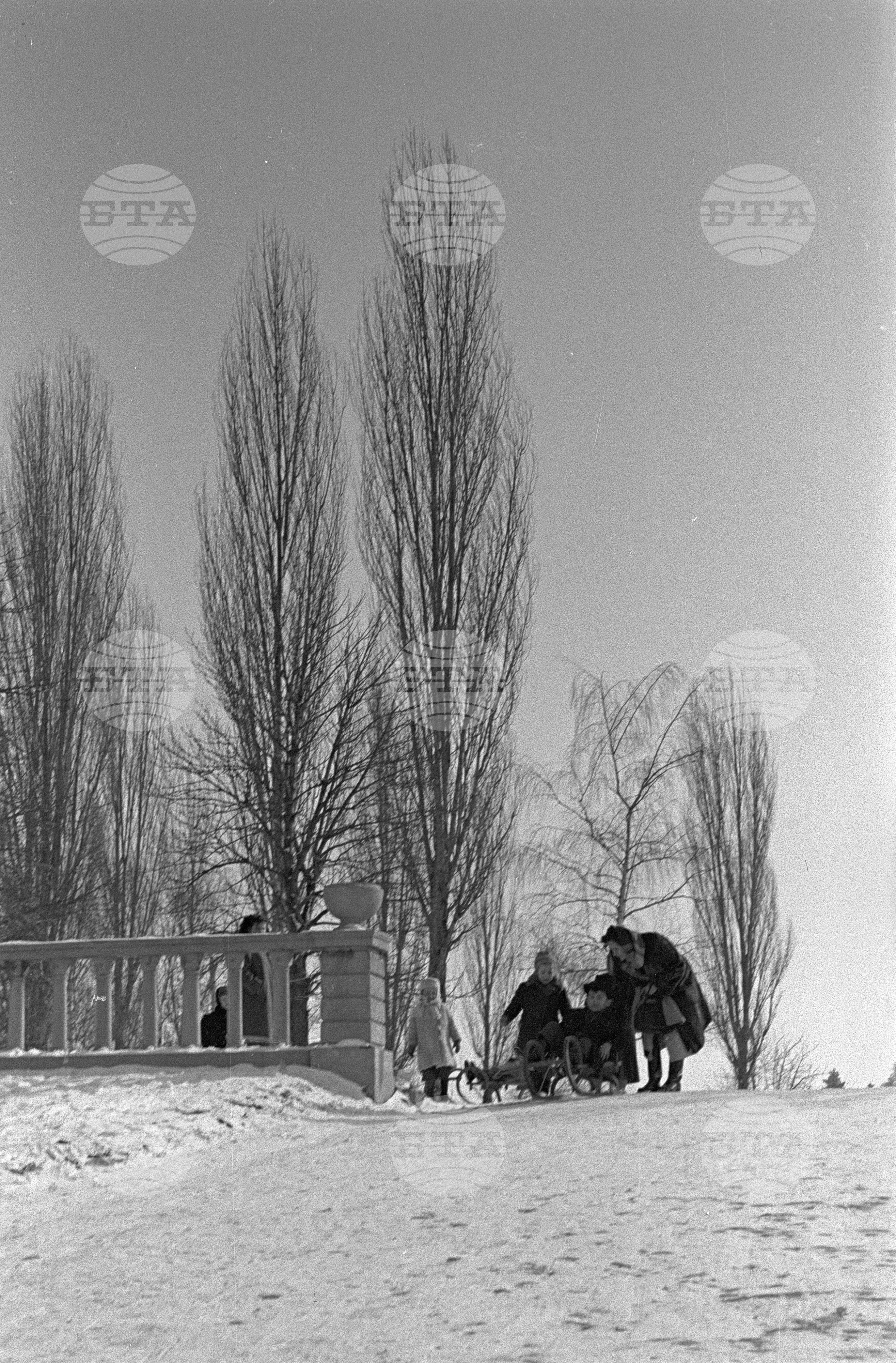 Зимни пейзажи от Парка на свободата в София - 1953 година