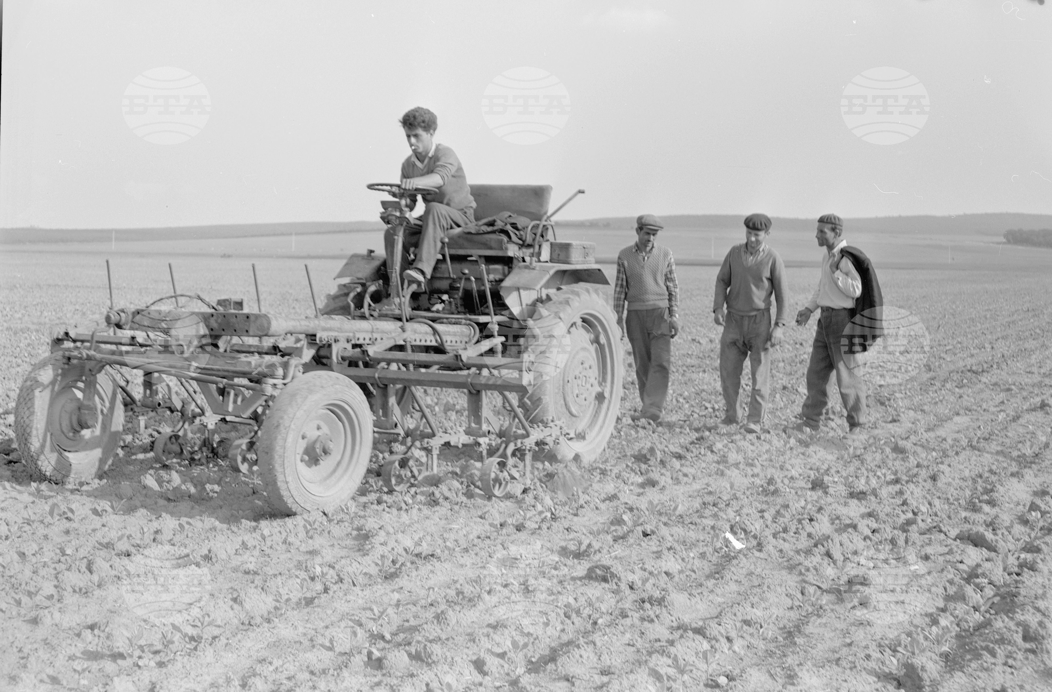 Из Бургаски окръг-1963