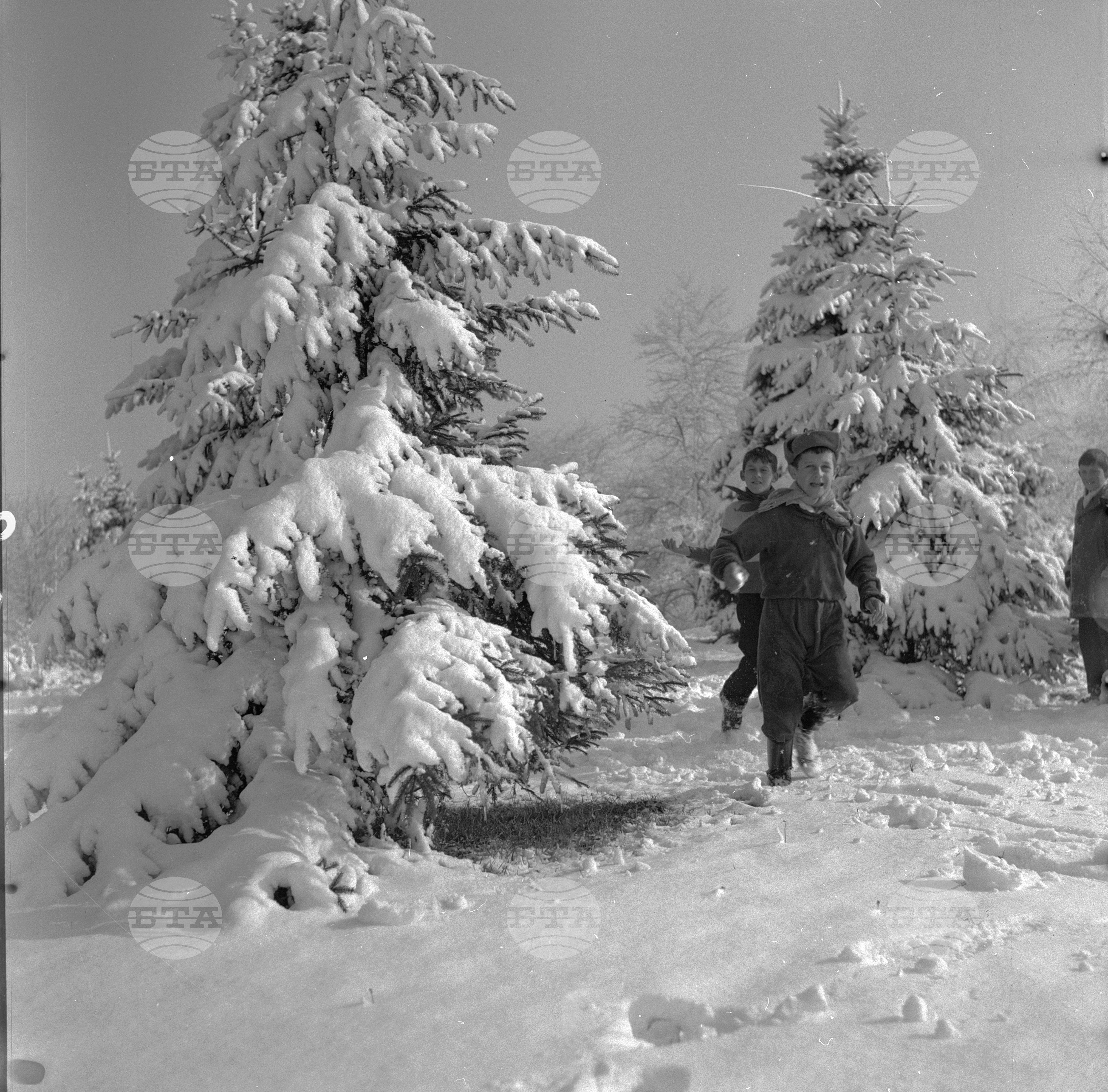 Първи сняг - 1962 година