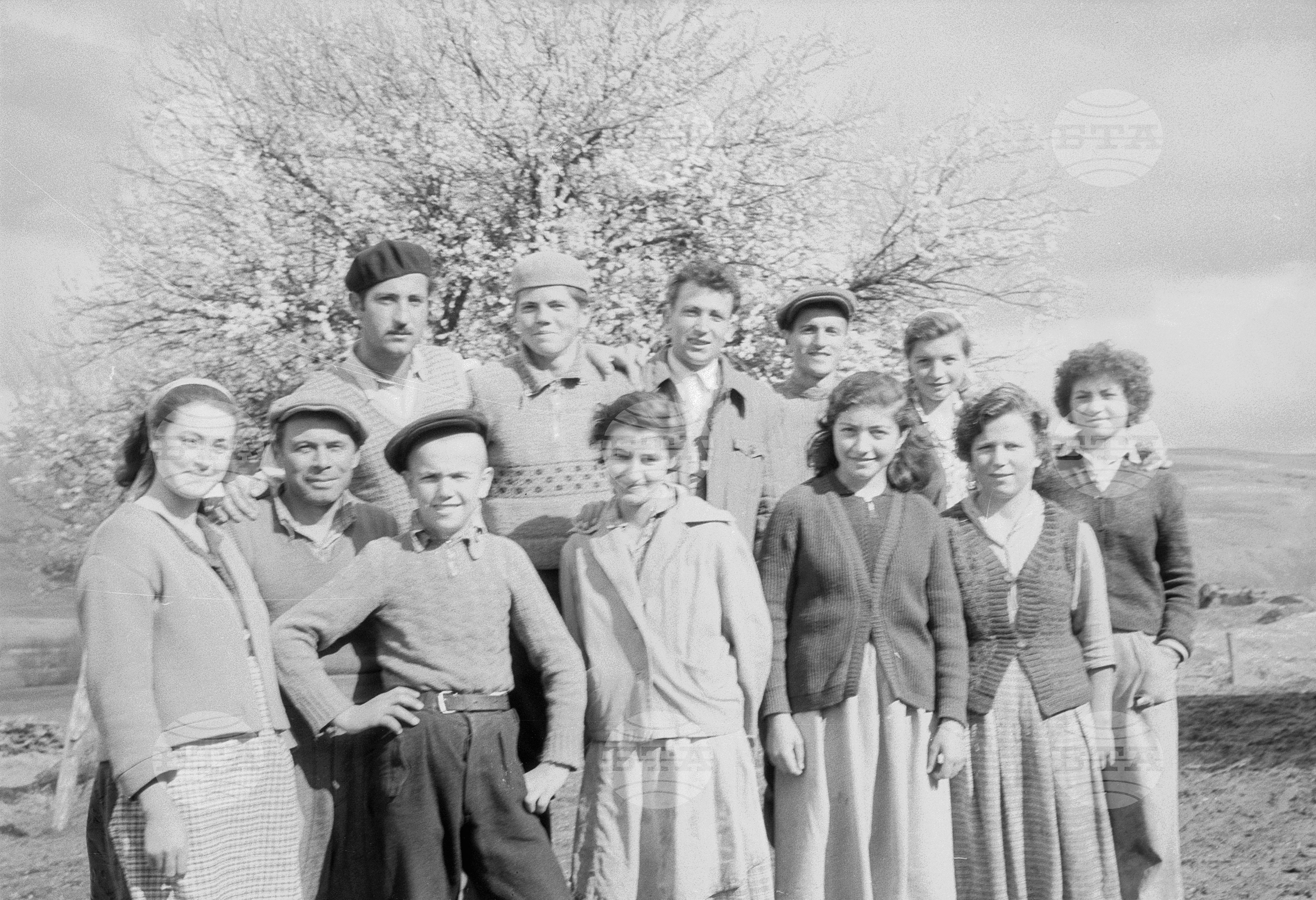 При младите животновъди в Копривщица
