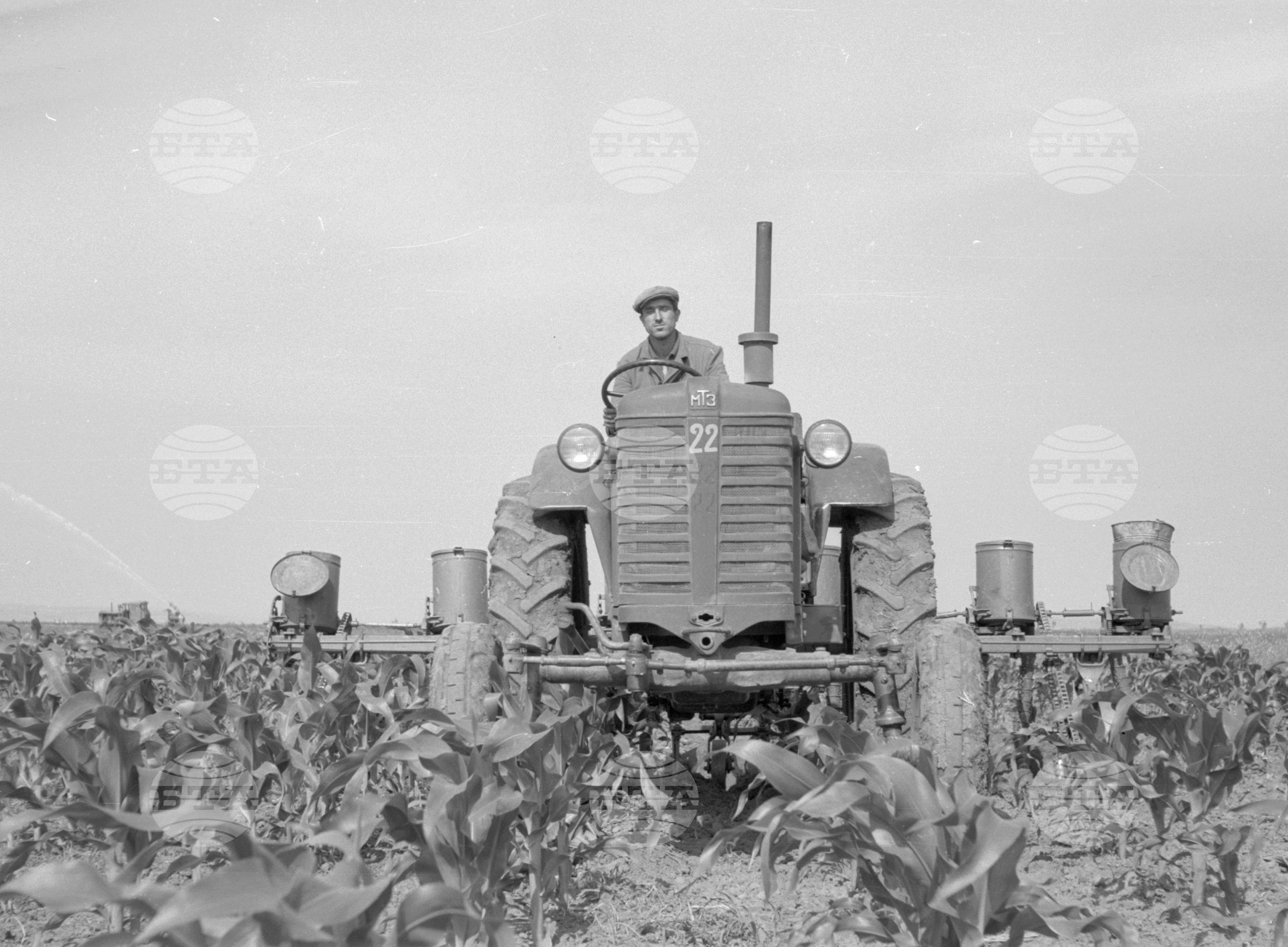 Снимки от Видински окръг - 1963