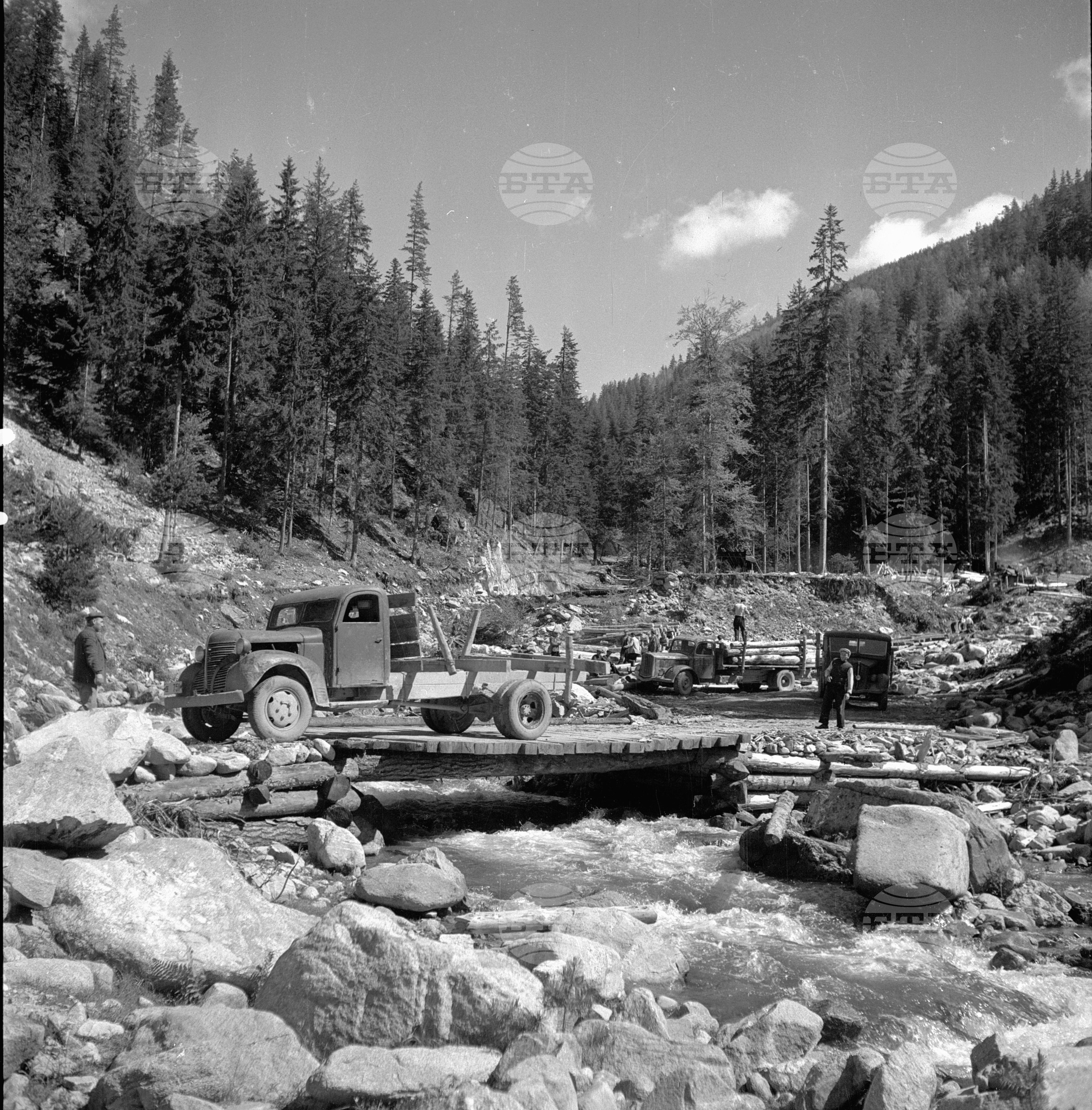 Дърводобив в държавни горски стопанства, 1951 - част 1