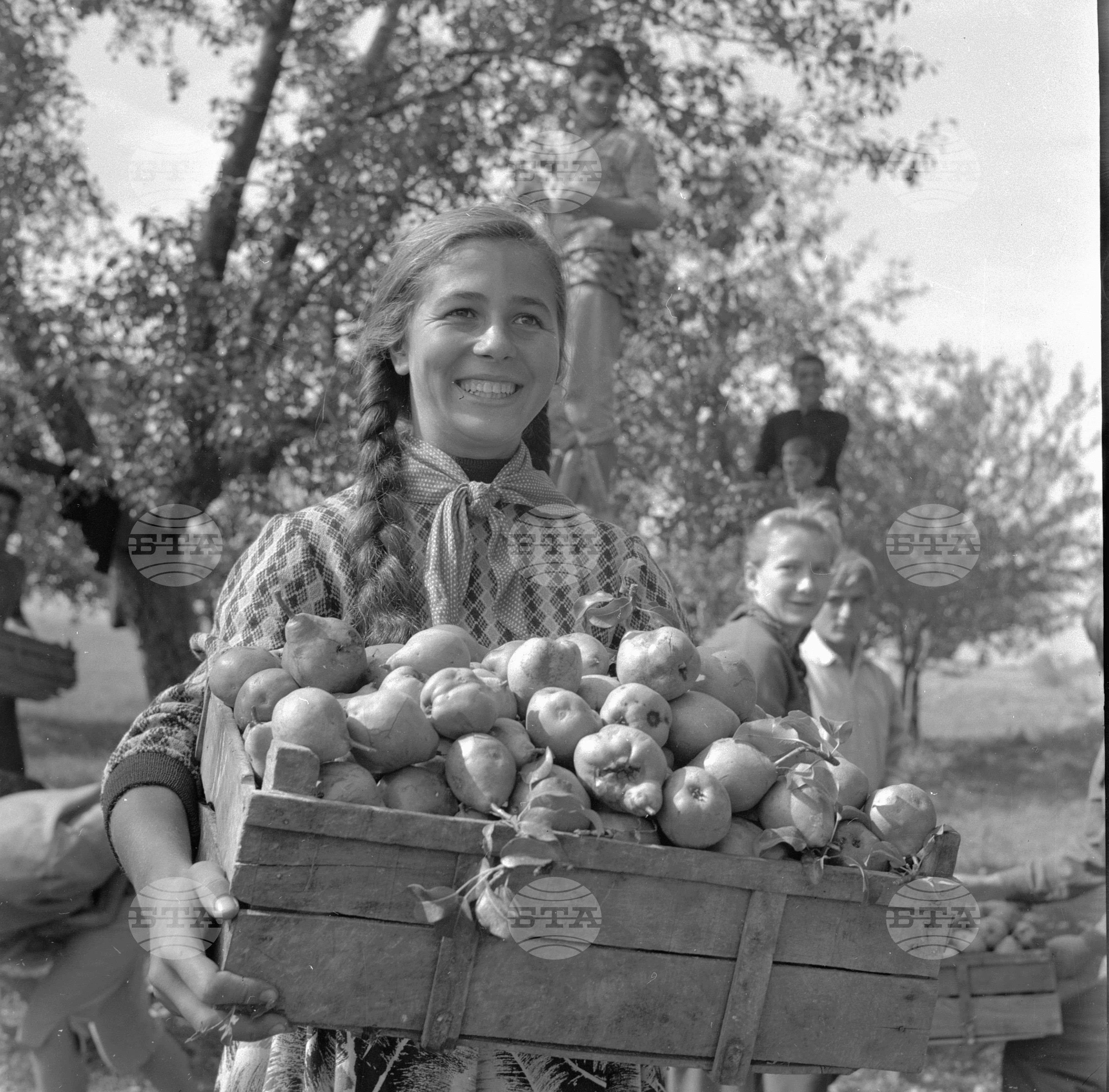 На бригада 1962 година
