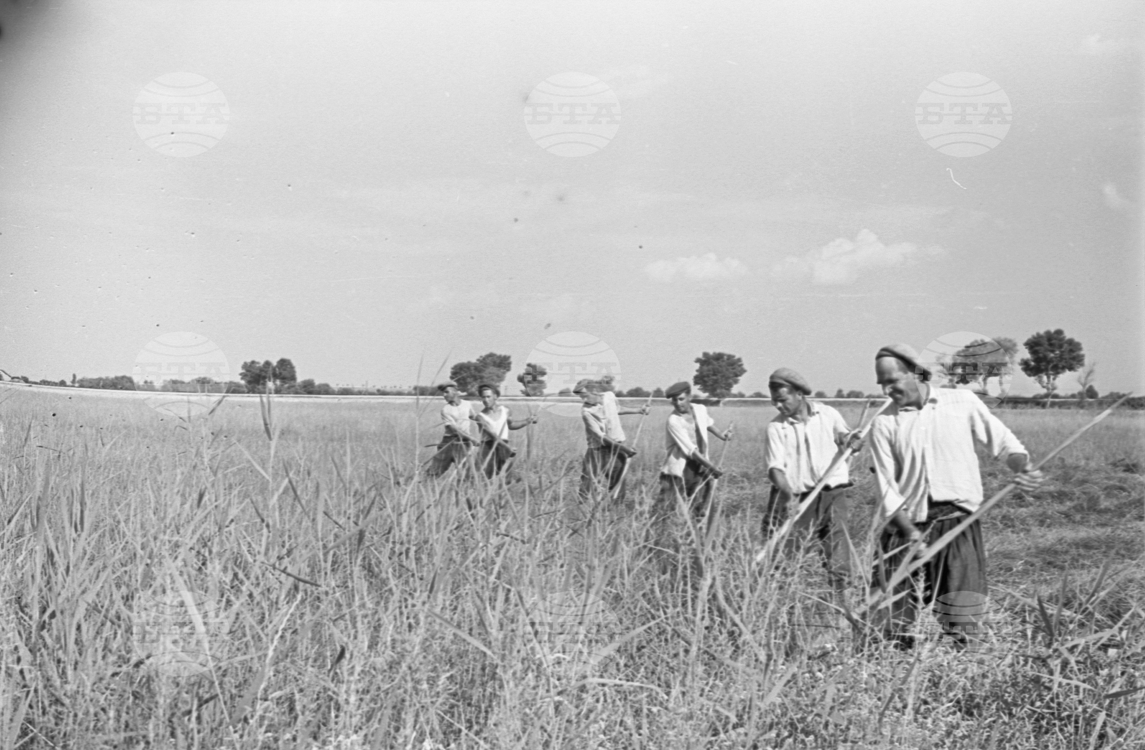 село Маноле, втора Пловдивска околия