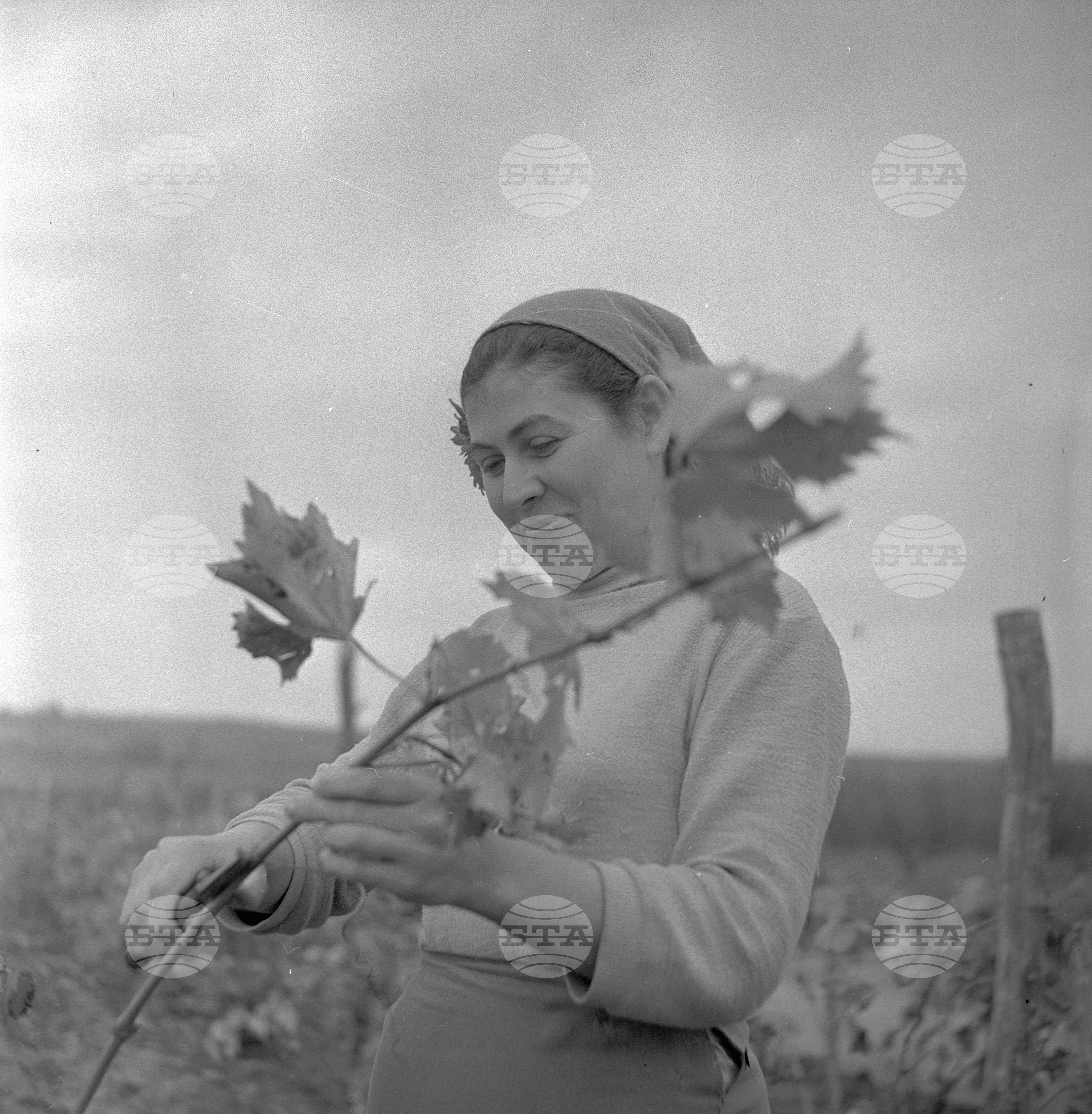 Щастието се роди в труда