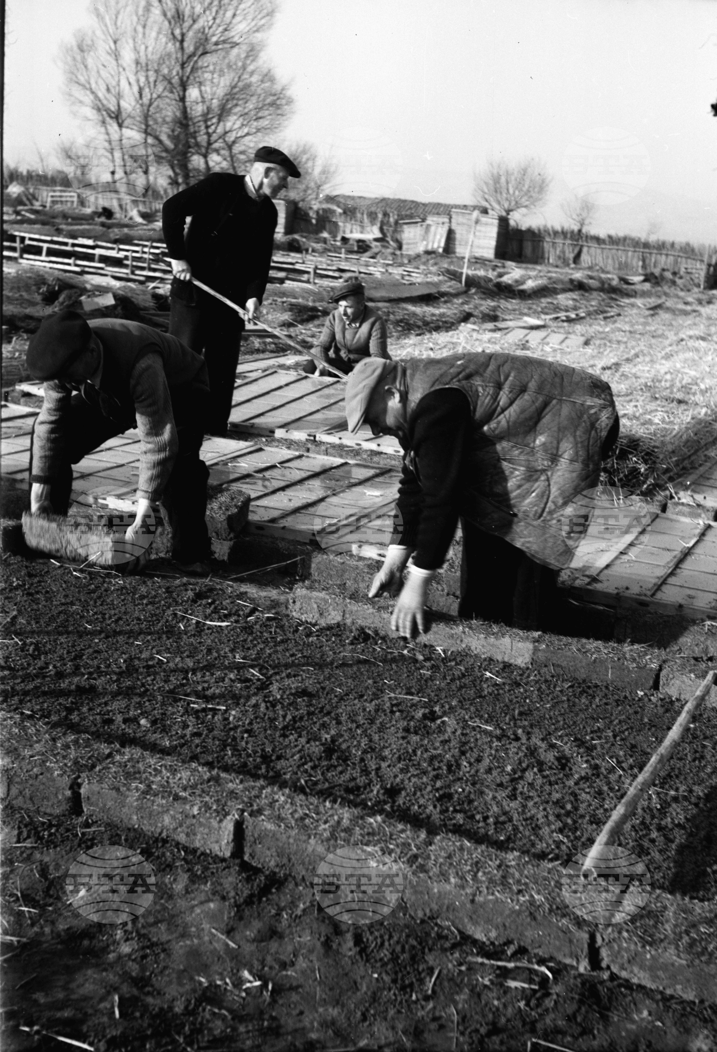 При кооператорите от ТКЗС в село Чепинци, Софийски окръг