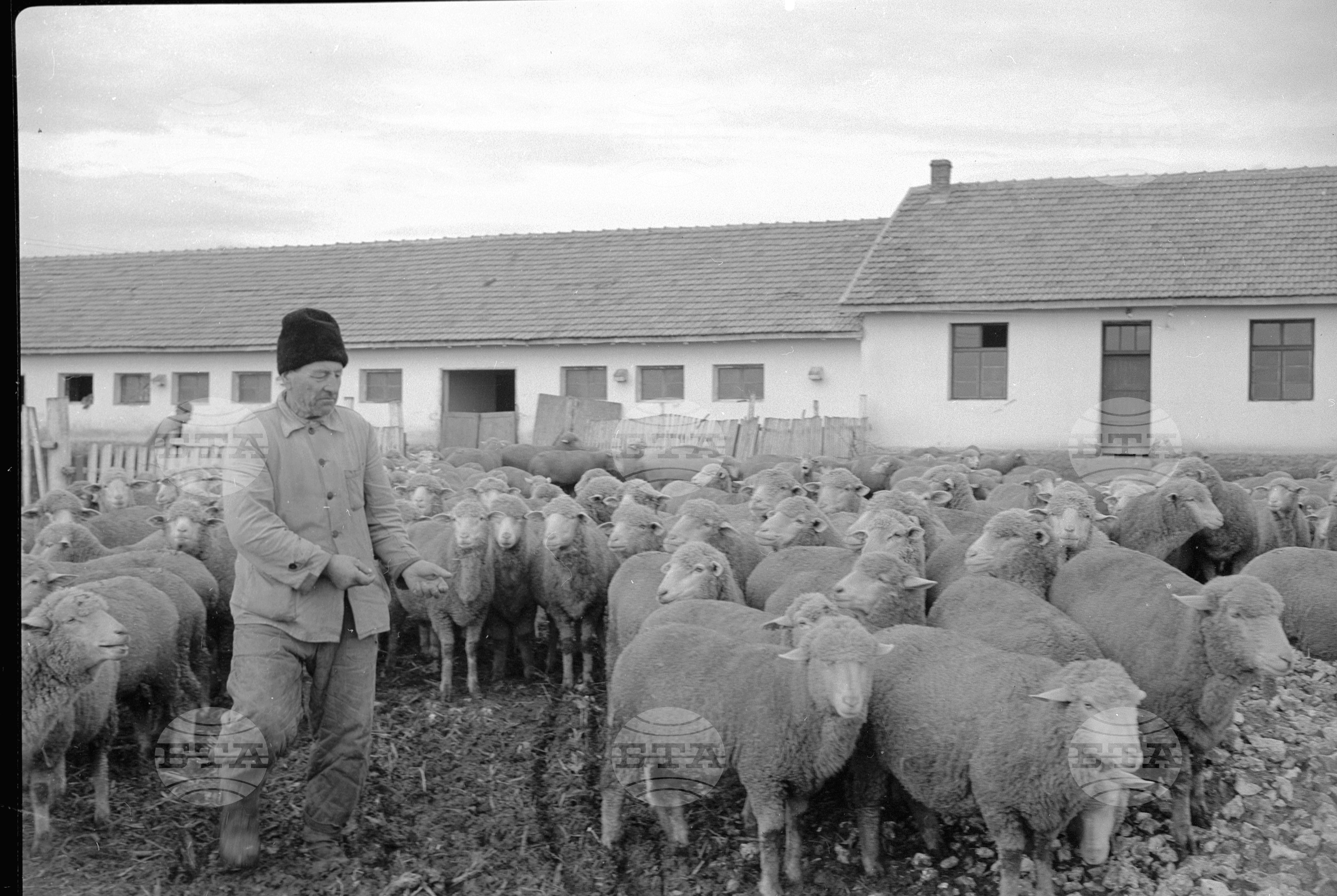 Добруджански селскостопански научно-изследователски институт край Генерал Тошево