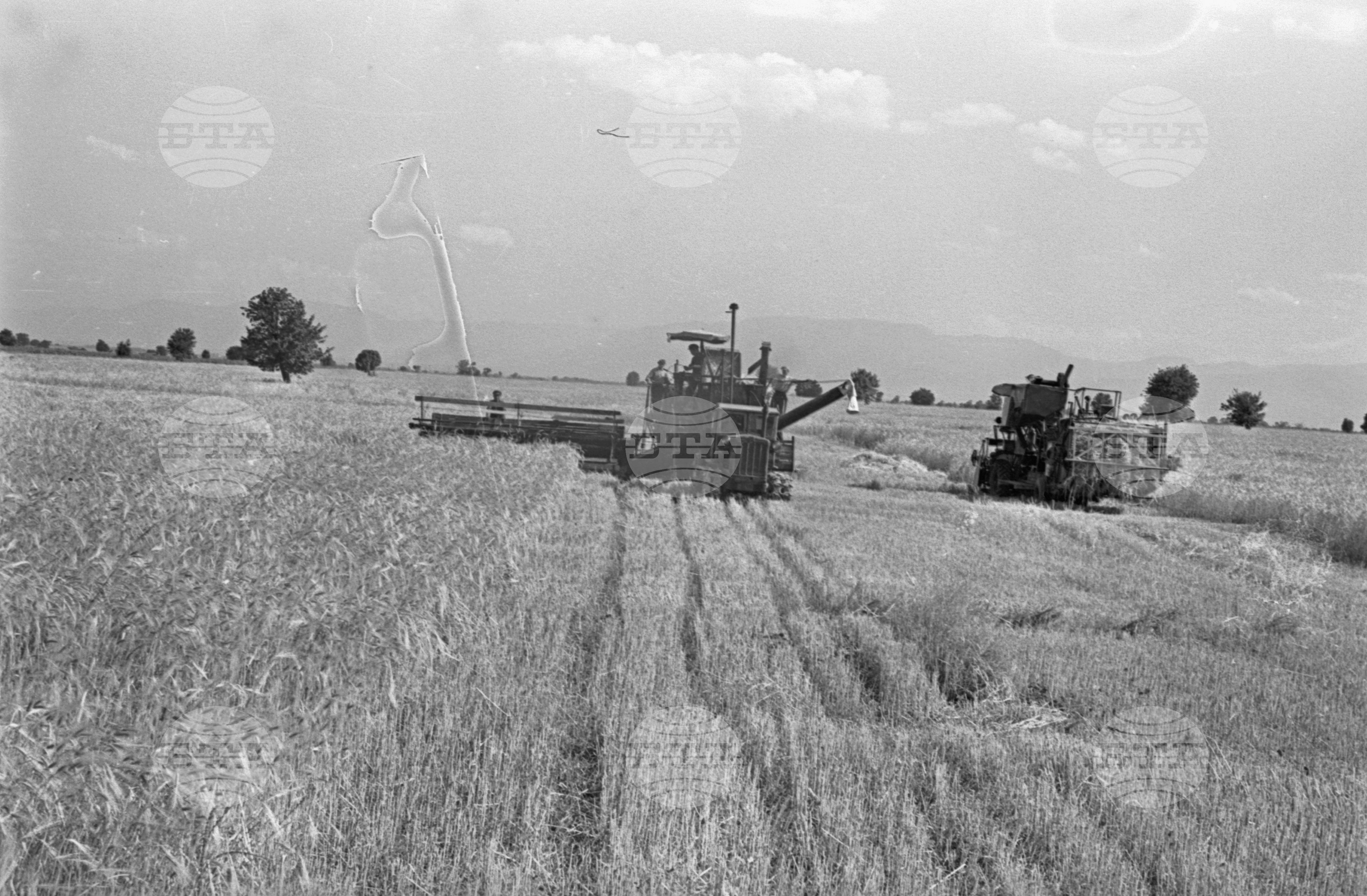 село Маноле, втора Пловдивска околия