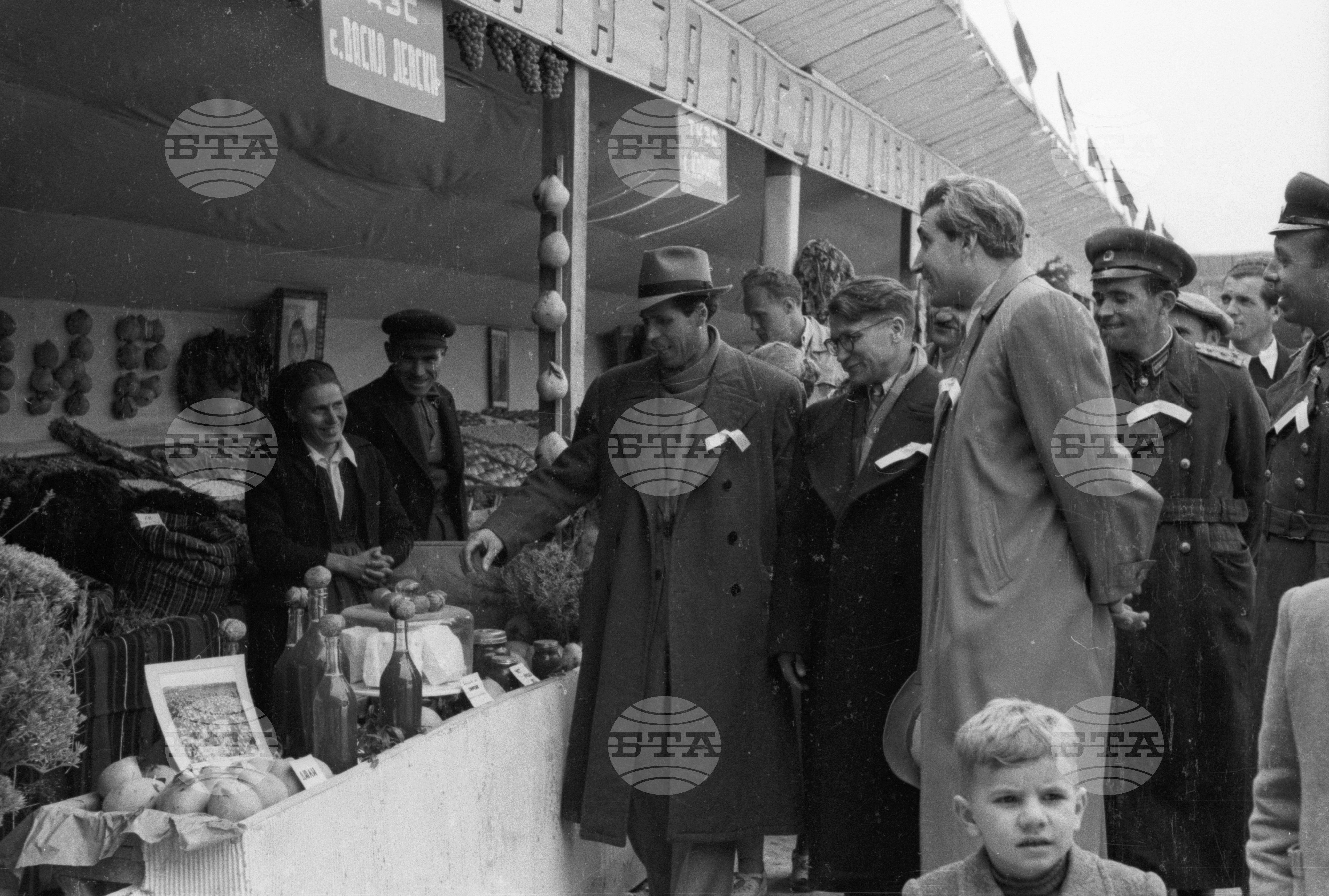 Селскостопанска изложба в Левскиград (дн. Карлово), 1951