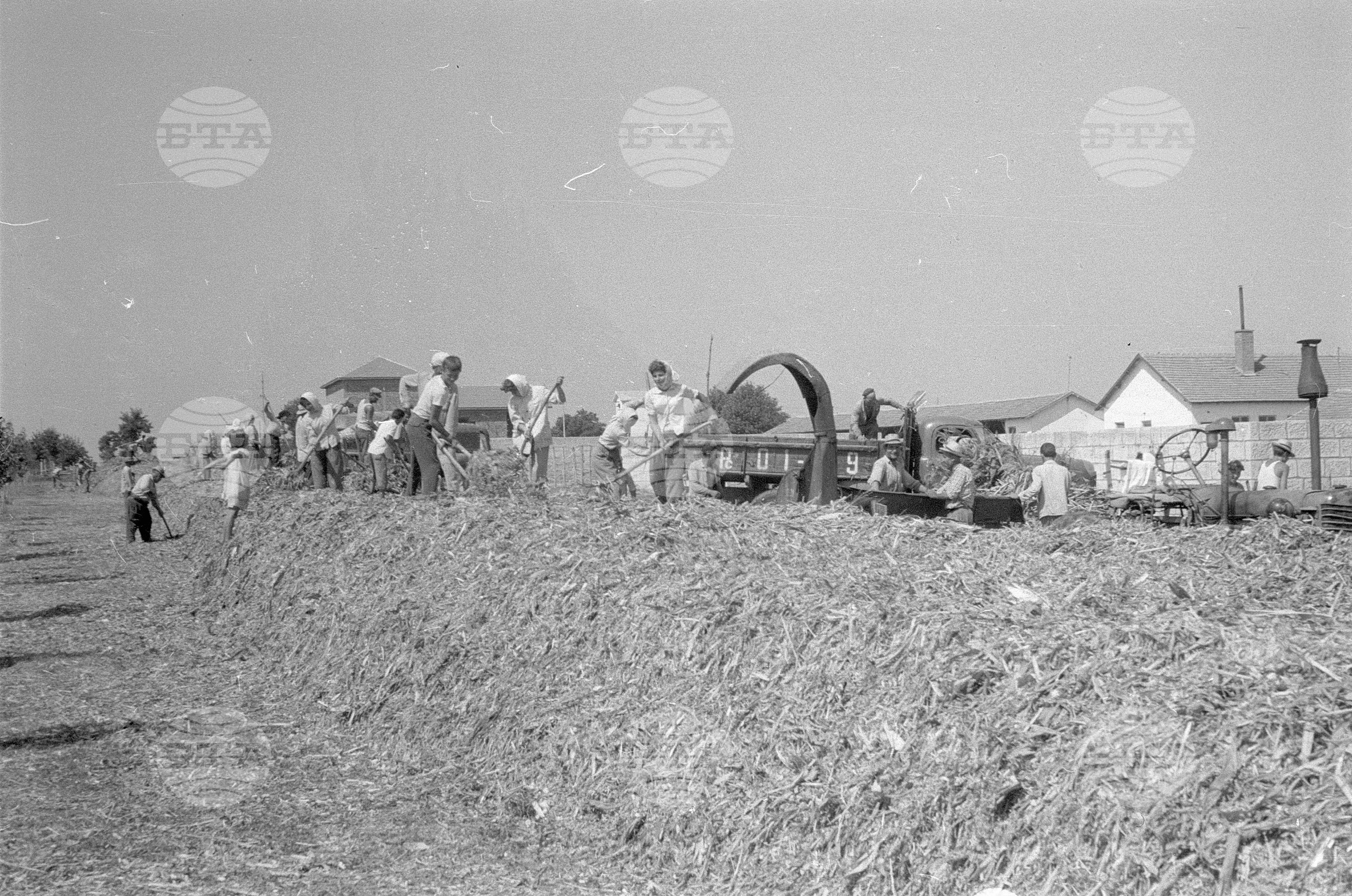 Русенски окръг 1963 година
