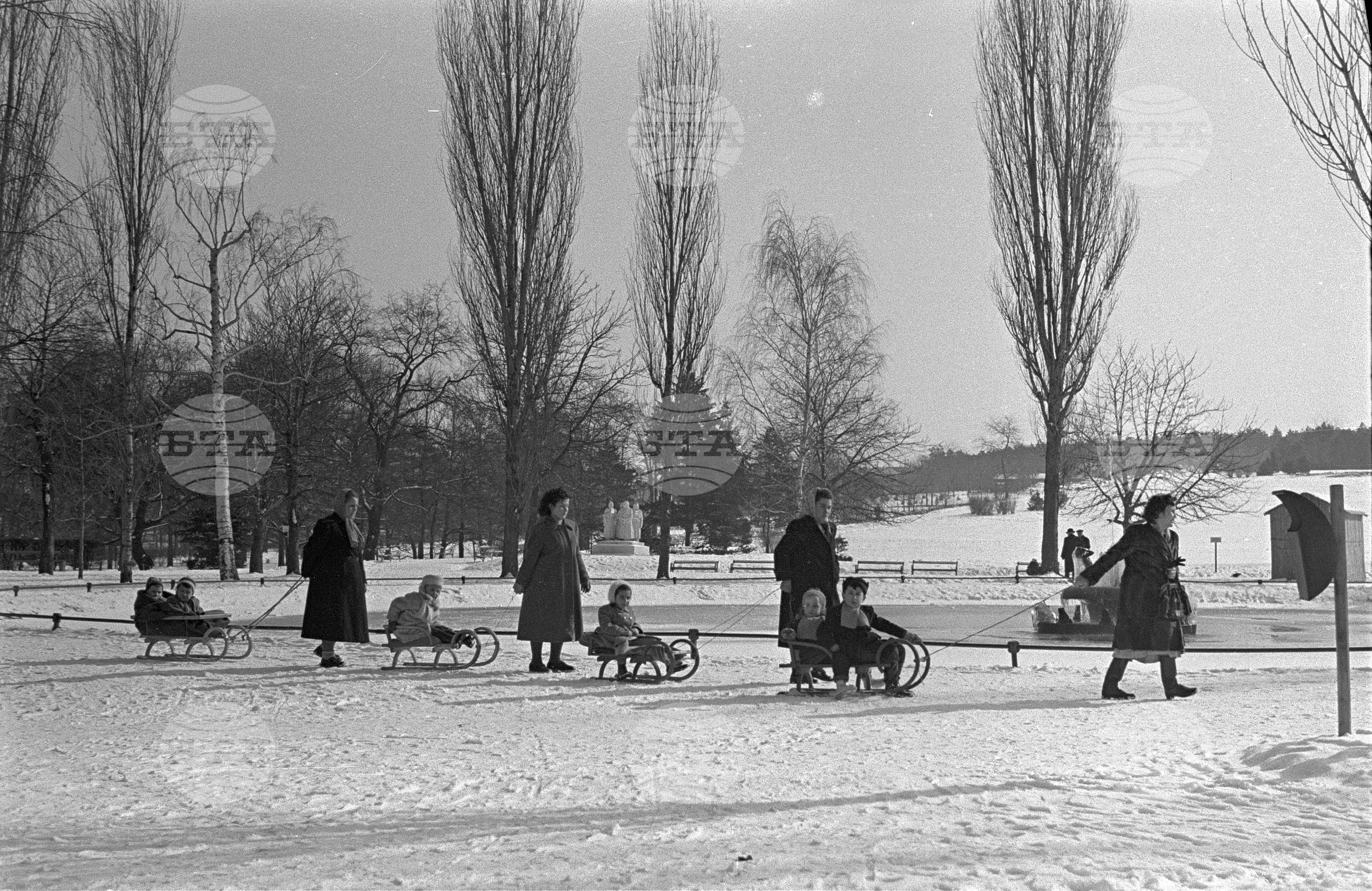 Зимни пейзажи от Парка на свободата в София - 1953 година