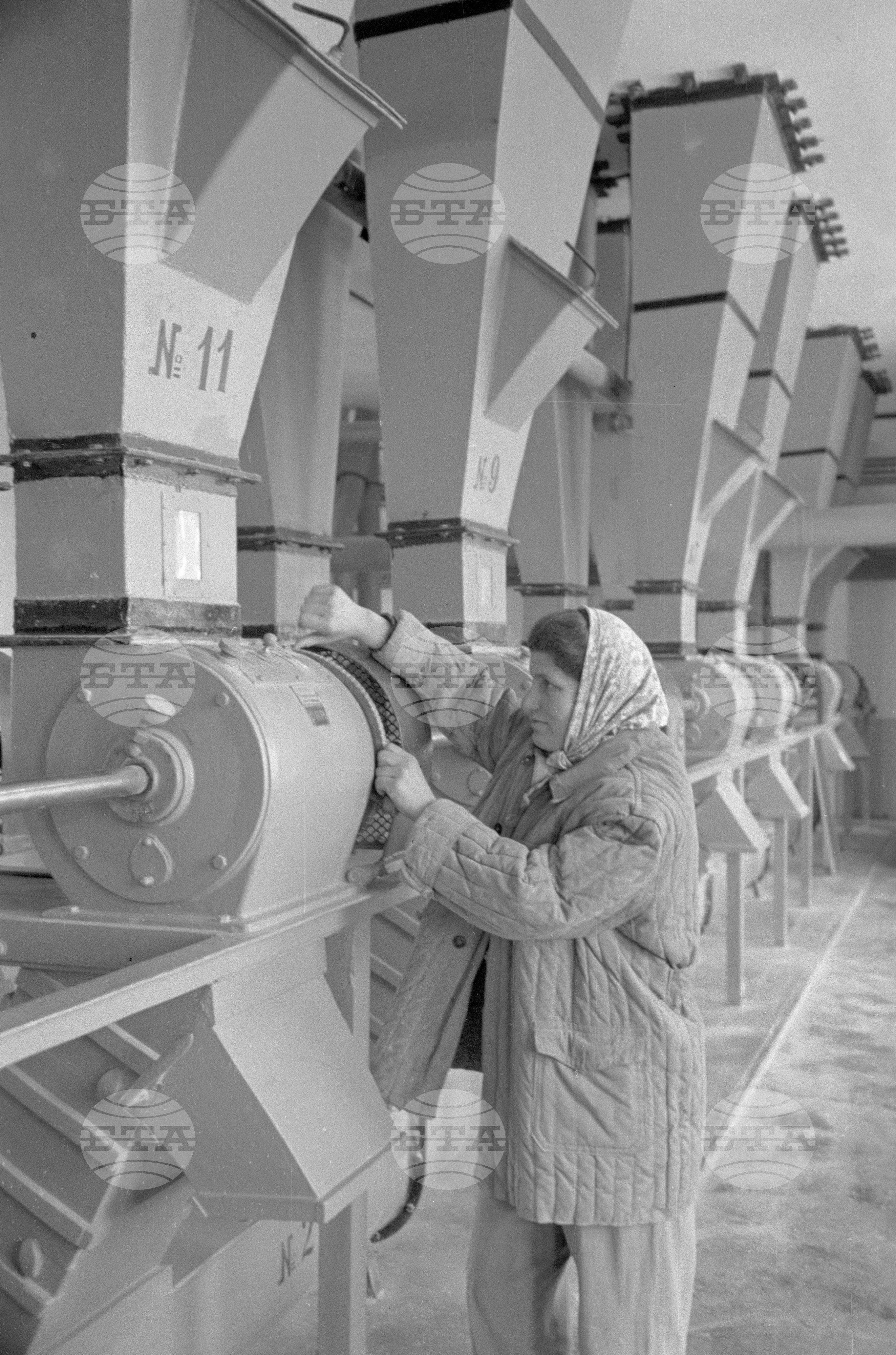 Държавен завод за комбинирани фуражи "Сергей Миронович Киров" край град Плевен
