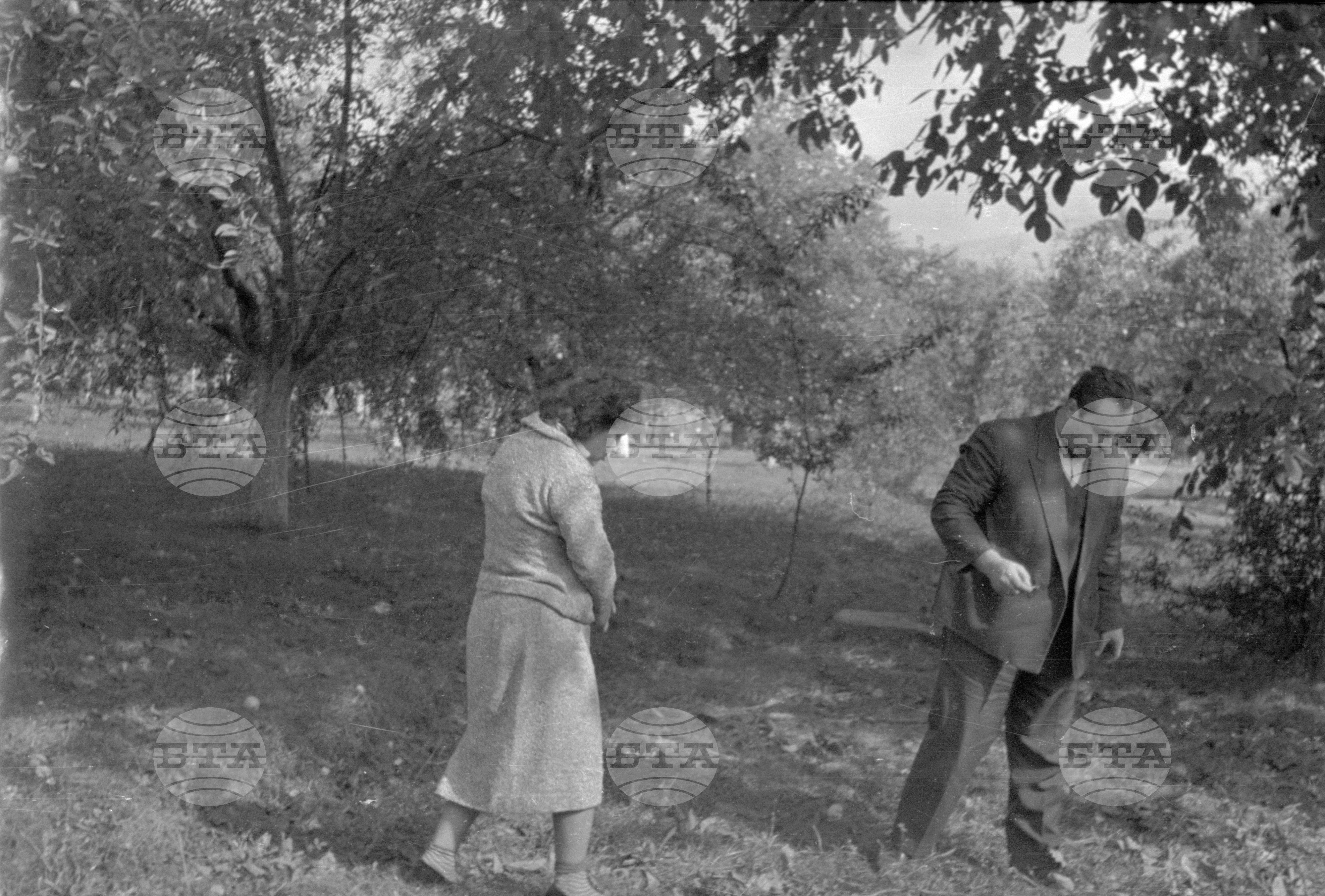 Из Кюстендилски окръг - септември 1962 година