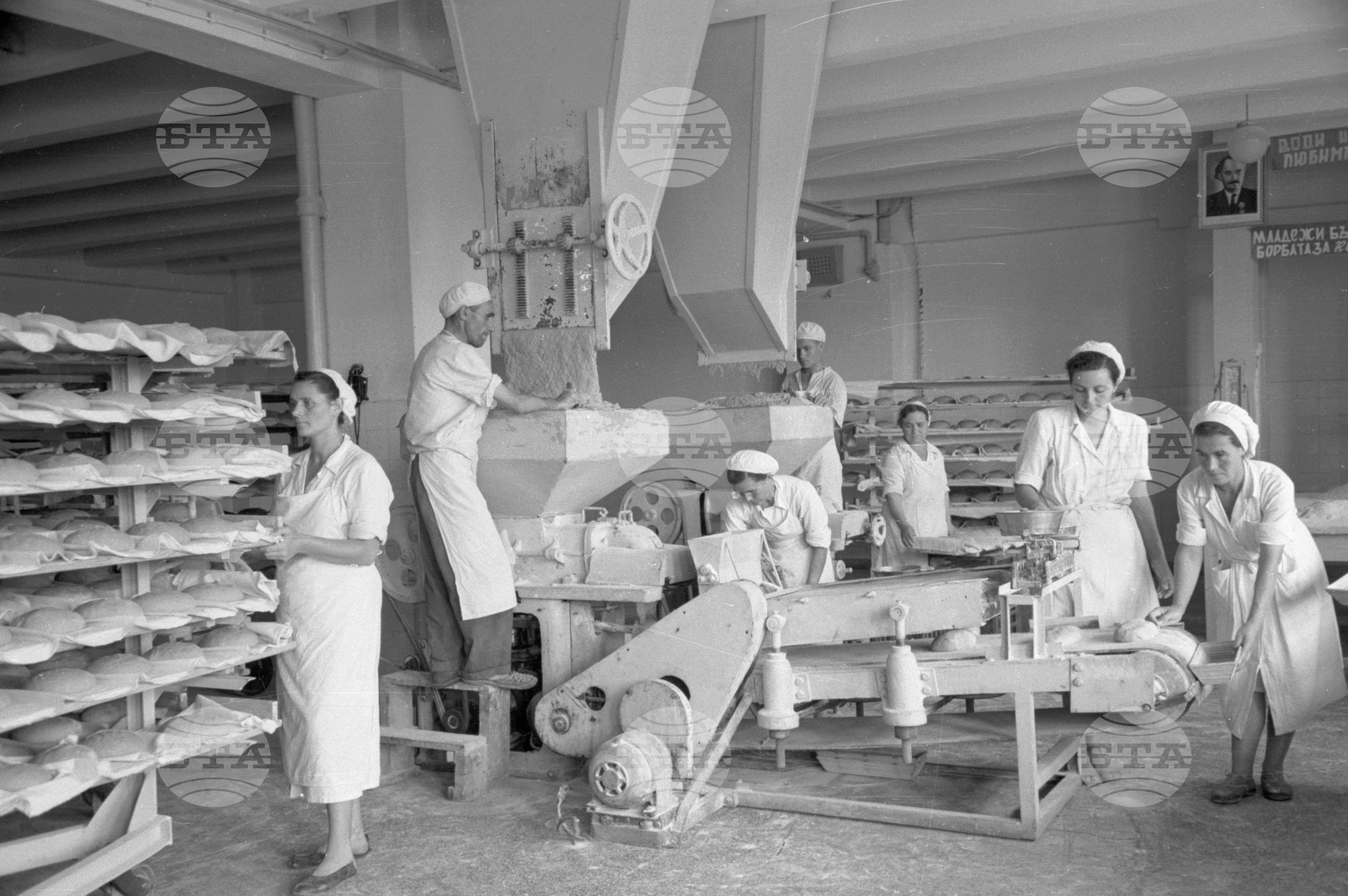 Хлебозавода - София - 1953 година
