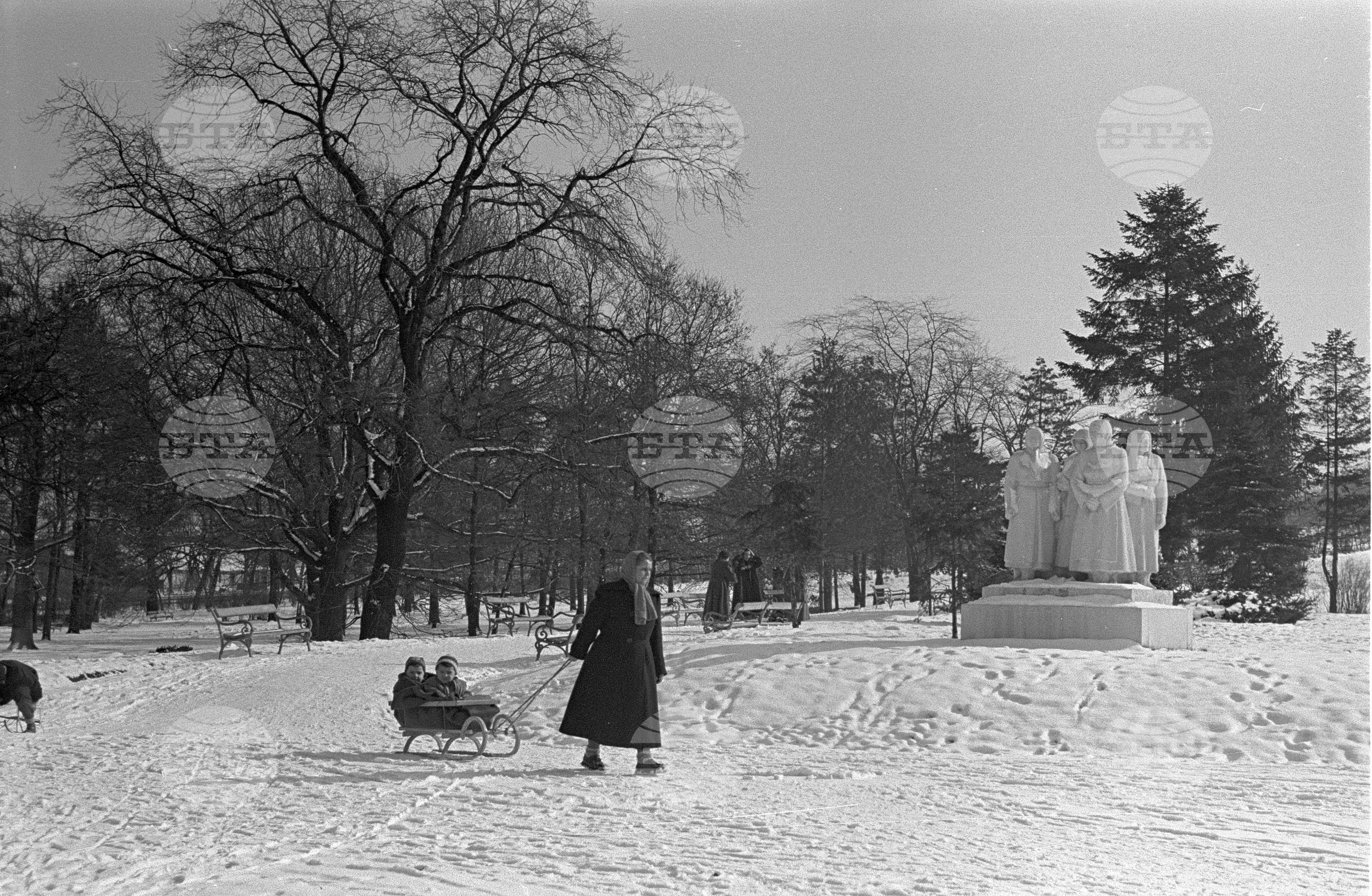 Зимни пейзажи от Парка на свободата в София - 1953 година