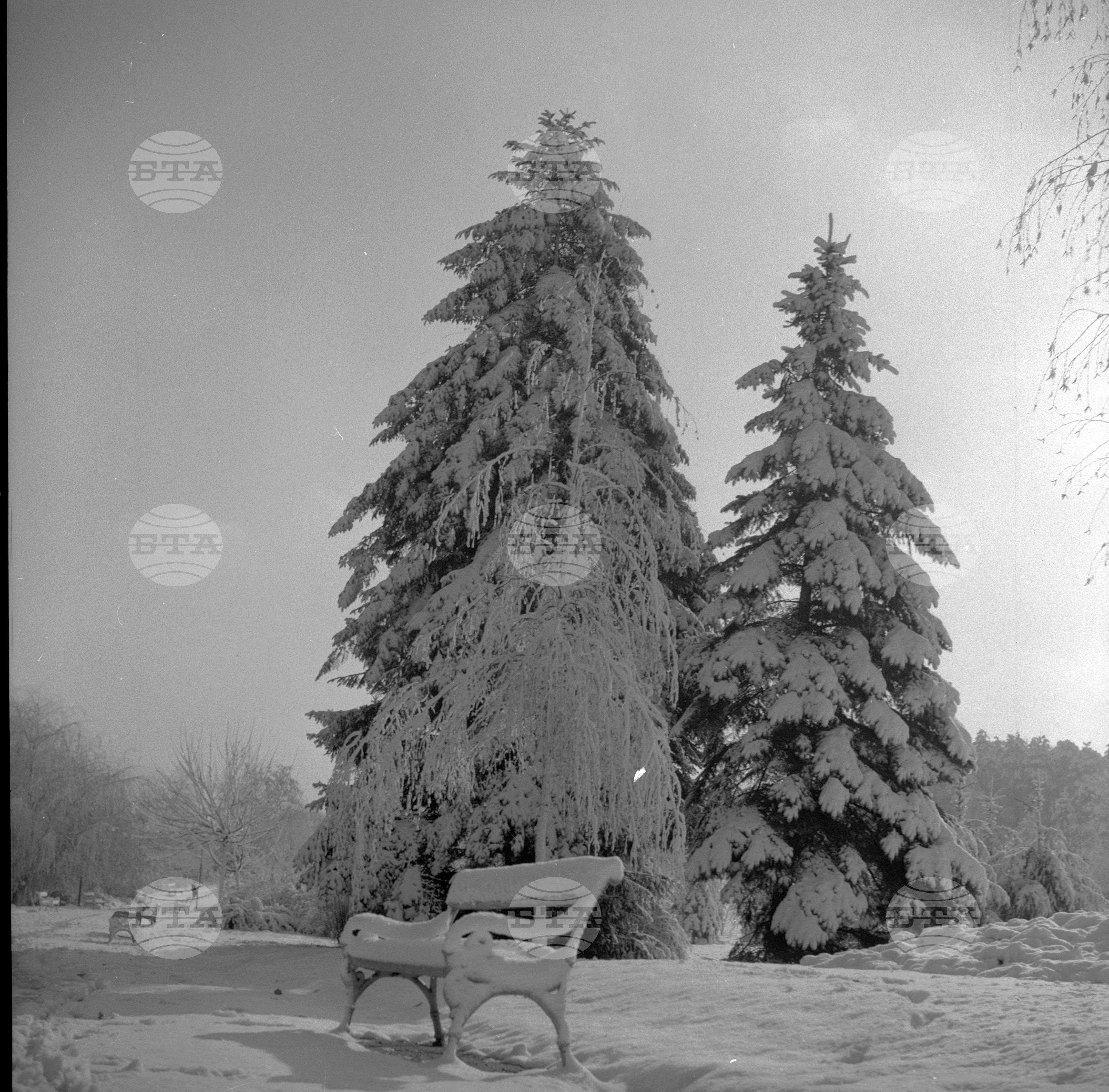 Първи сняг - 1962 година