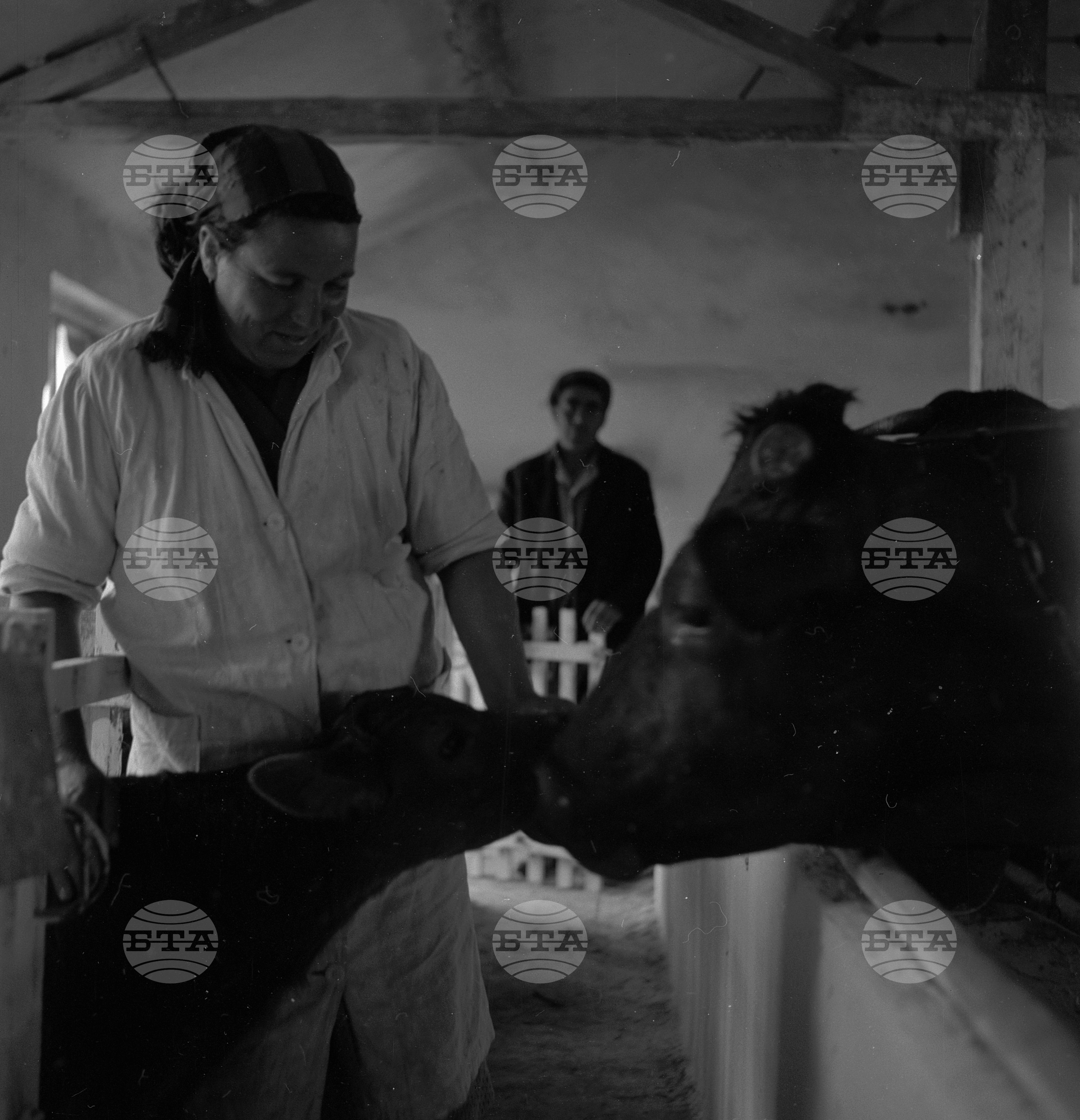 Новия облик на град Разград
