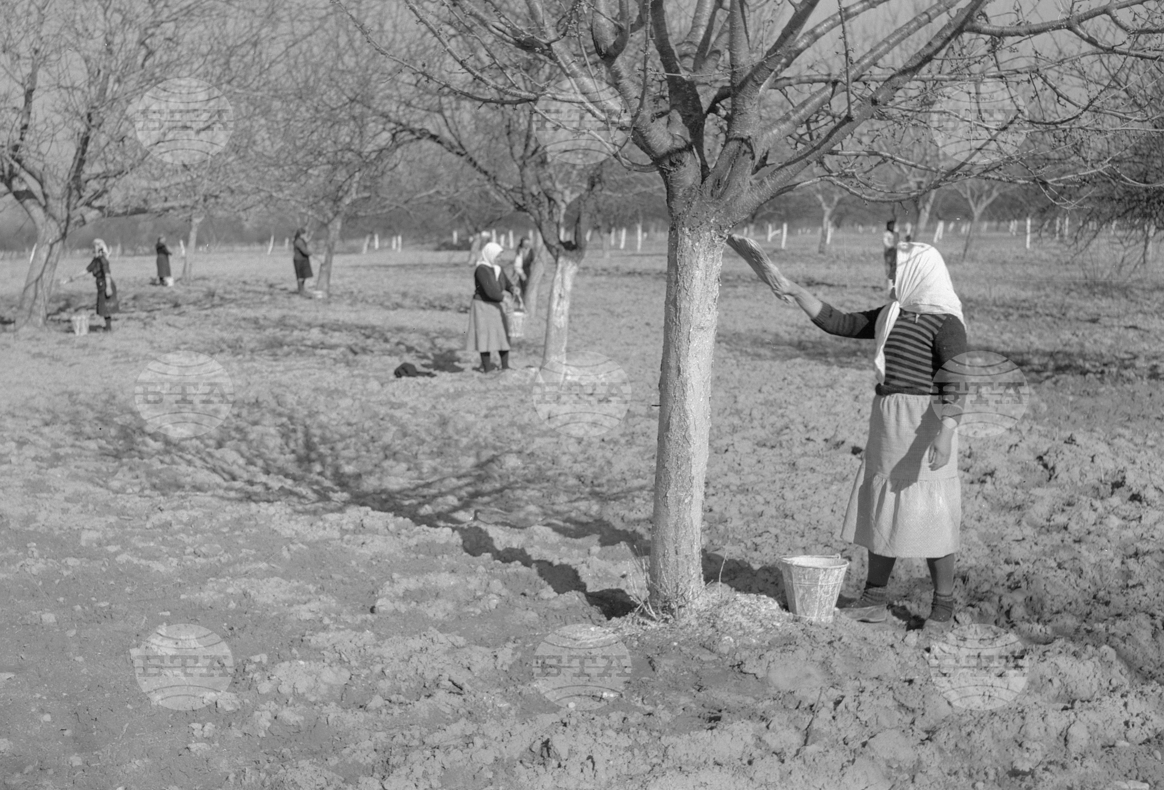 Из живота на ТКЗС "Димитровски път" село Копринка, Казанлъшко