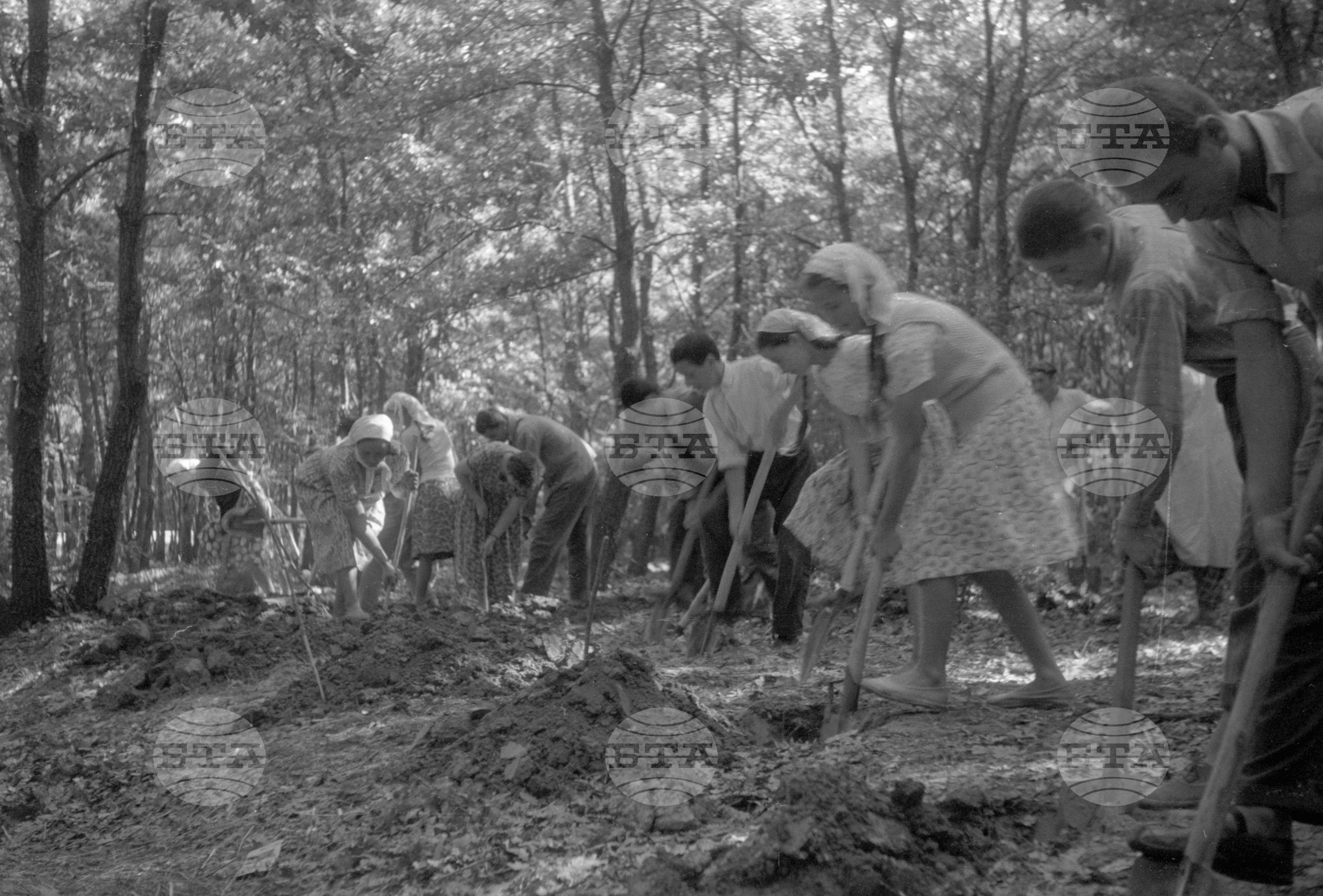 Трудово-кооперативно земеделски стопанства (ТКЗС), Русенски окръг - 1963