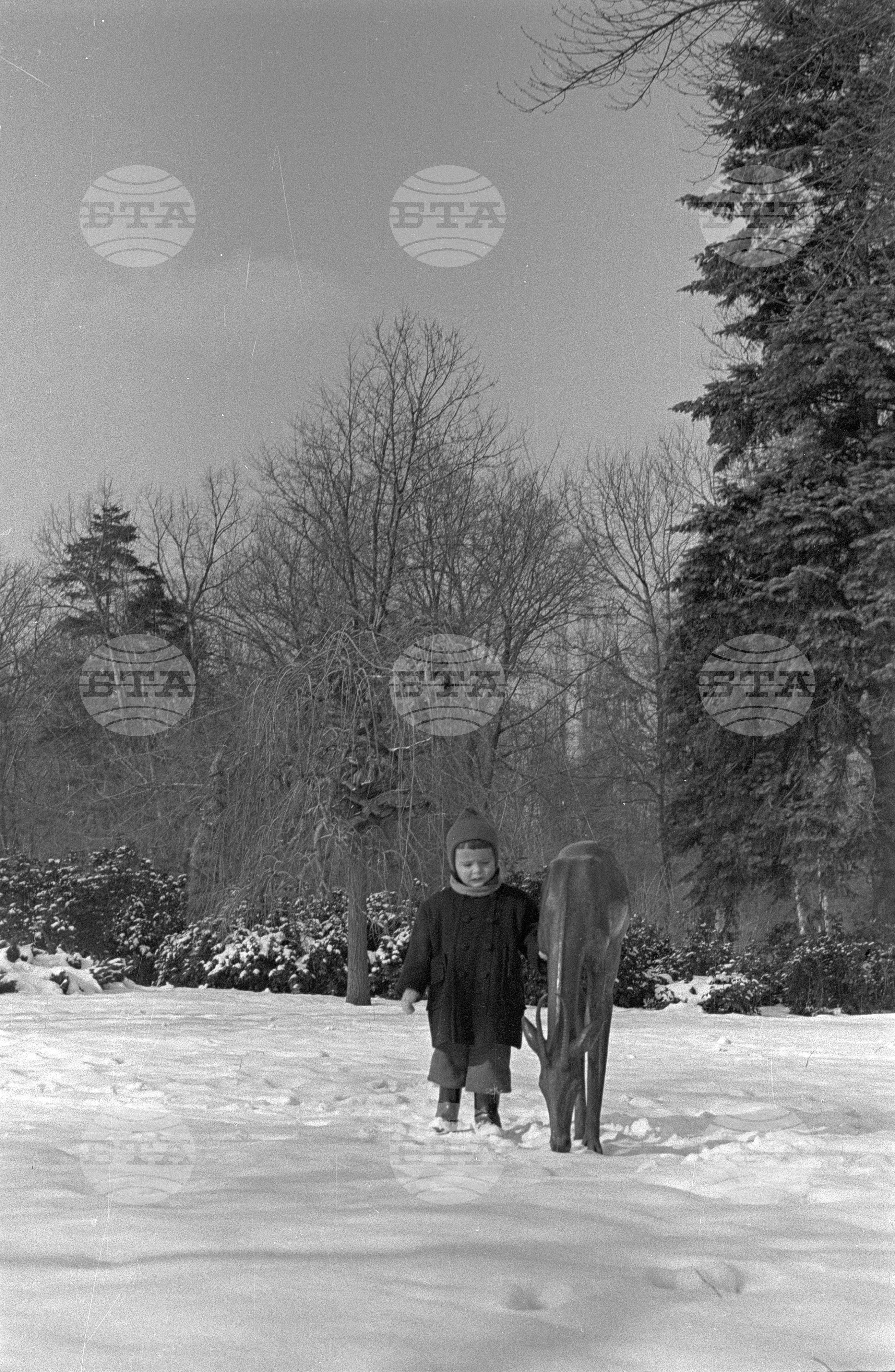 Зимни пейзажи от Парка на свободата в София - 1953 година