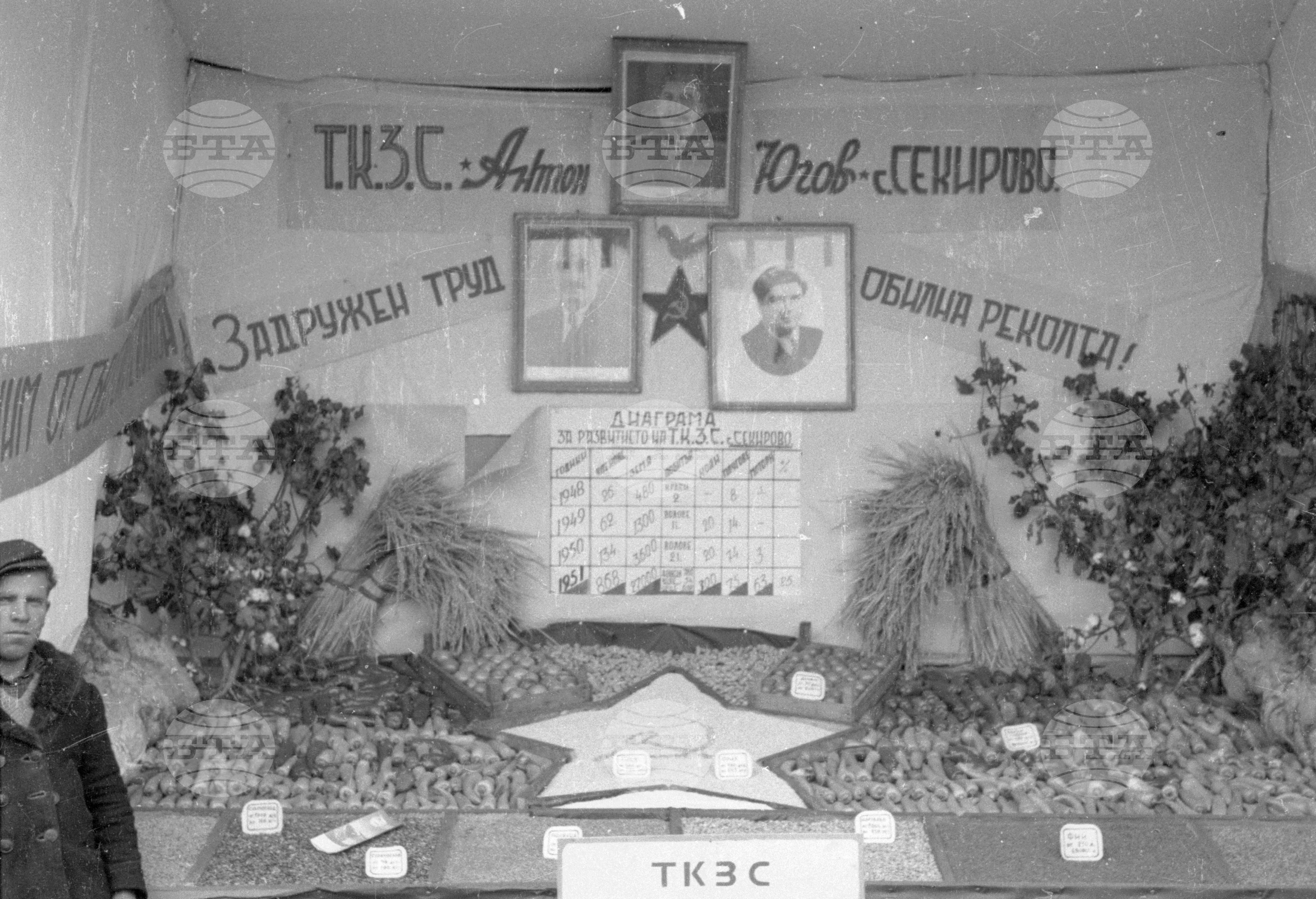Селскостопанска изложба в Левскиград (дн. Карлово), 1951
