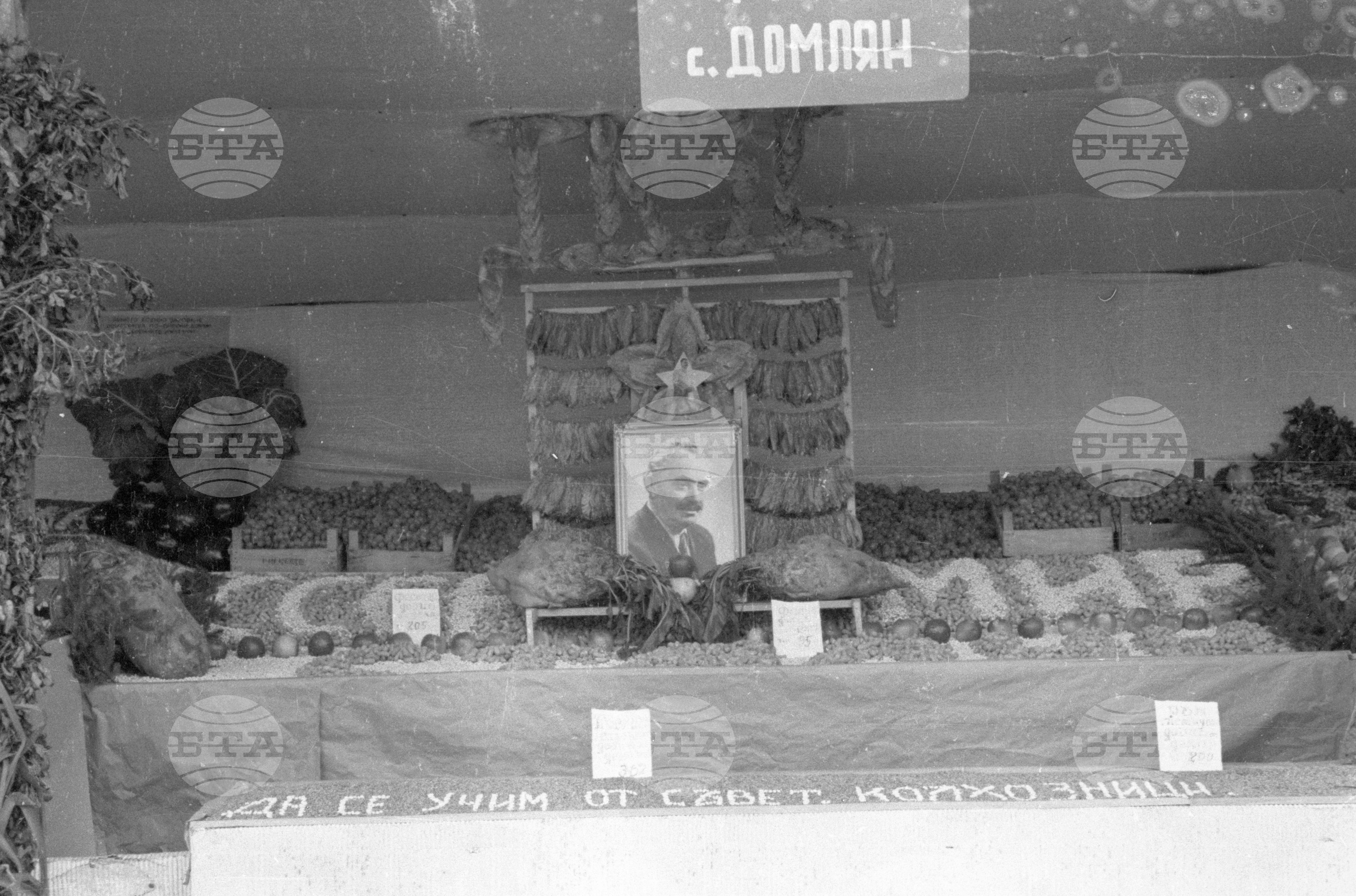 Селскостопанска изложба в Левскиград (дн. Карлово), 1951