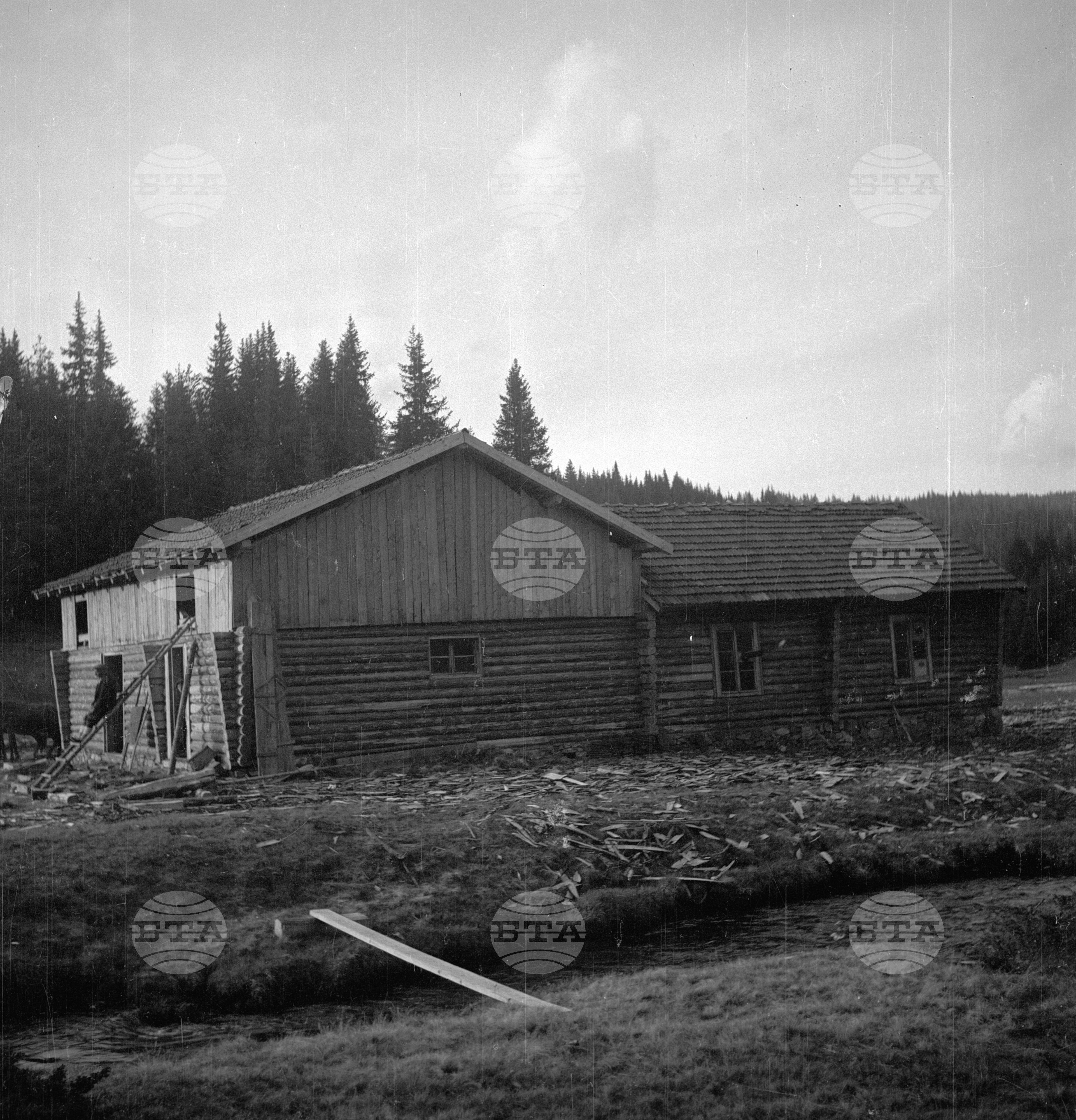 Дърводобив в държавни горски стопанства, 1951 - част 8