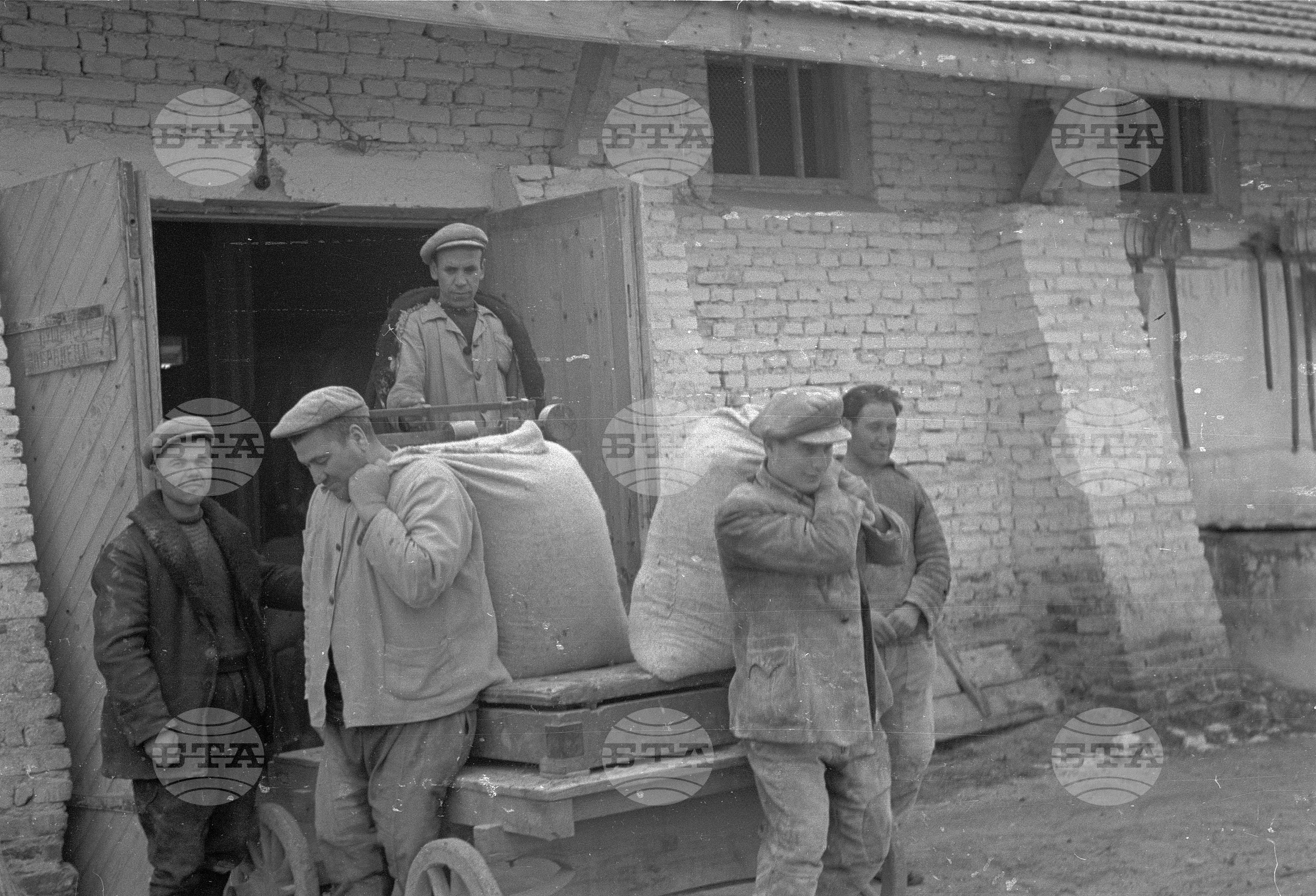 Стопанският двор на ТКЗС в с. Генерал Николаево