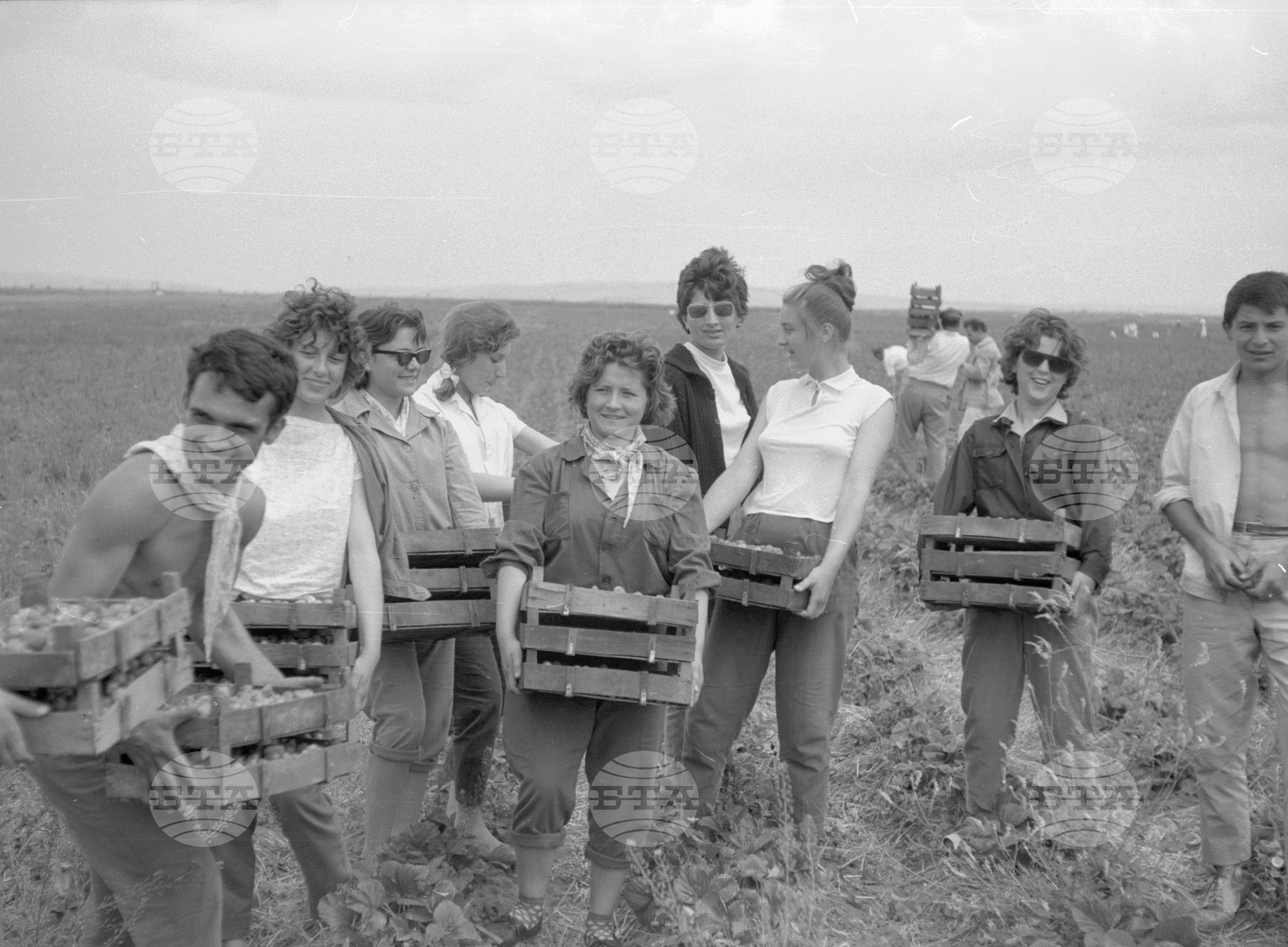 Снимки от Видински окръг - 1963