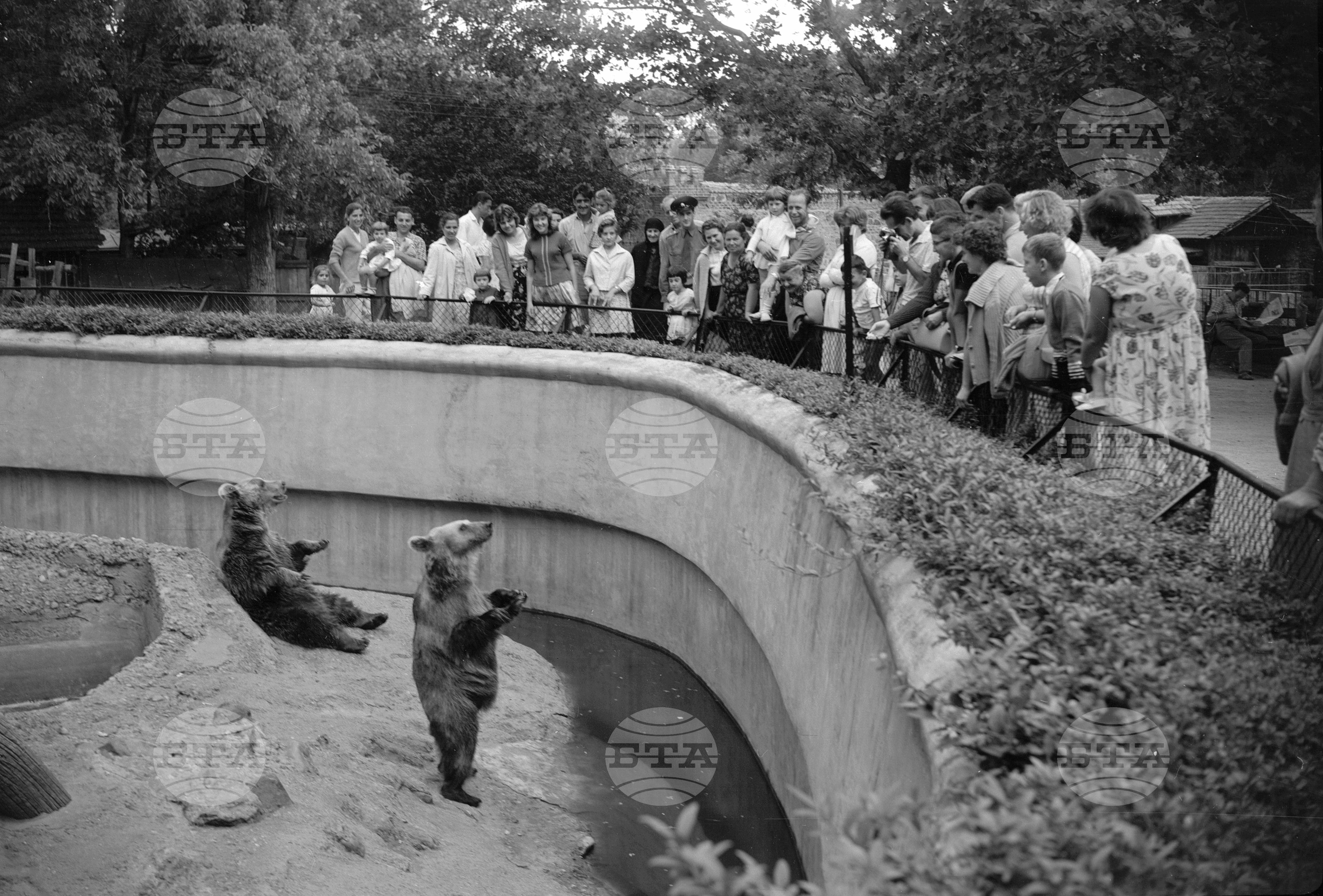 Зоологическа градина София - 1962 година