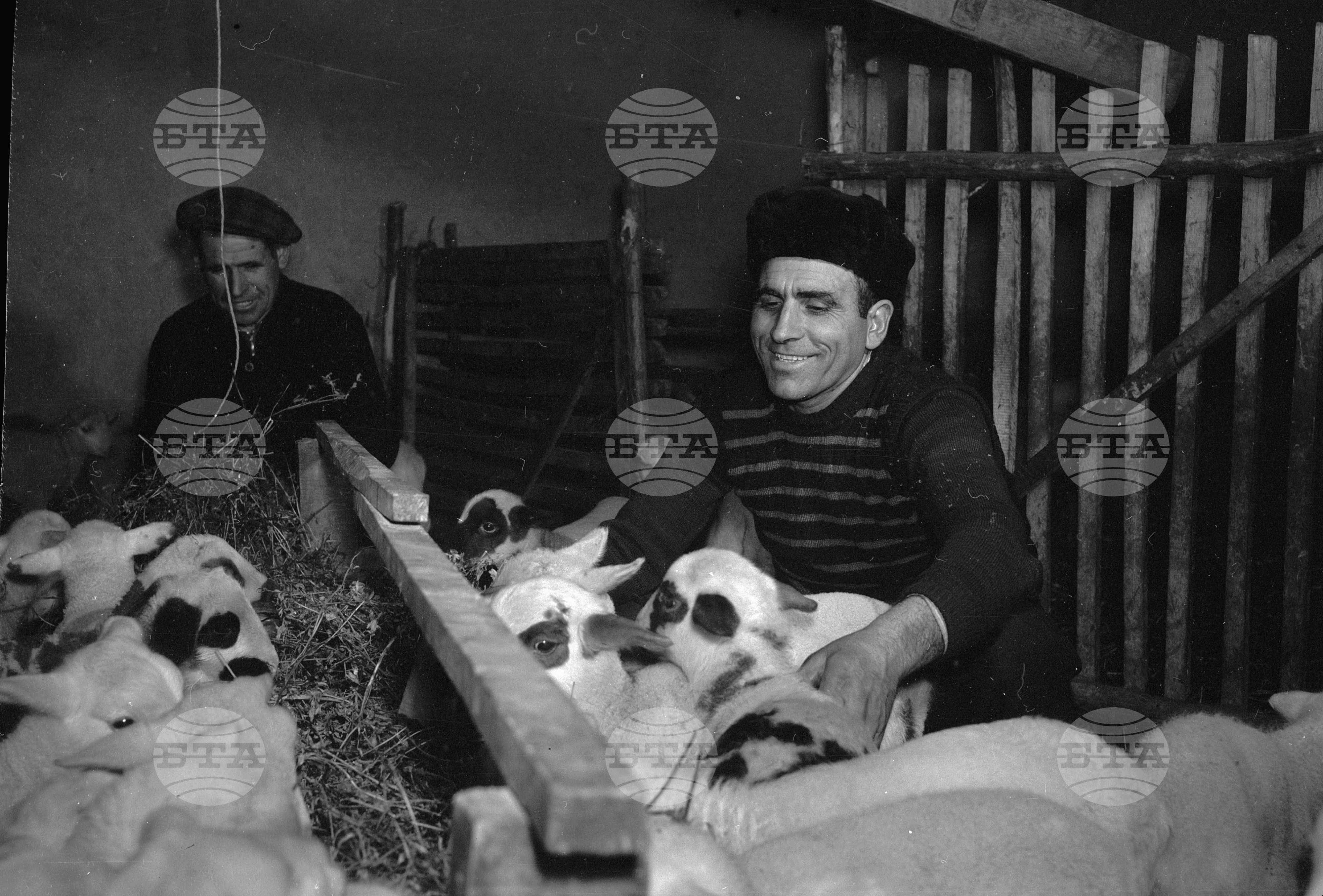 В Трудовото кооперативно земеделско стопанство (ТКЗС) "Червения октомври"