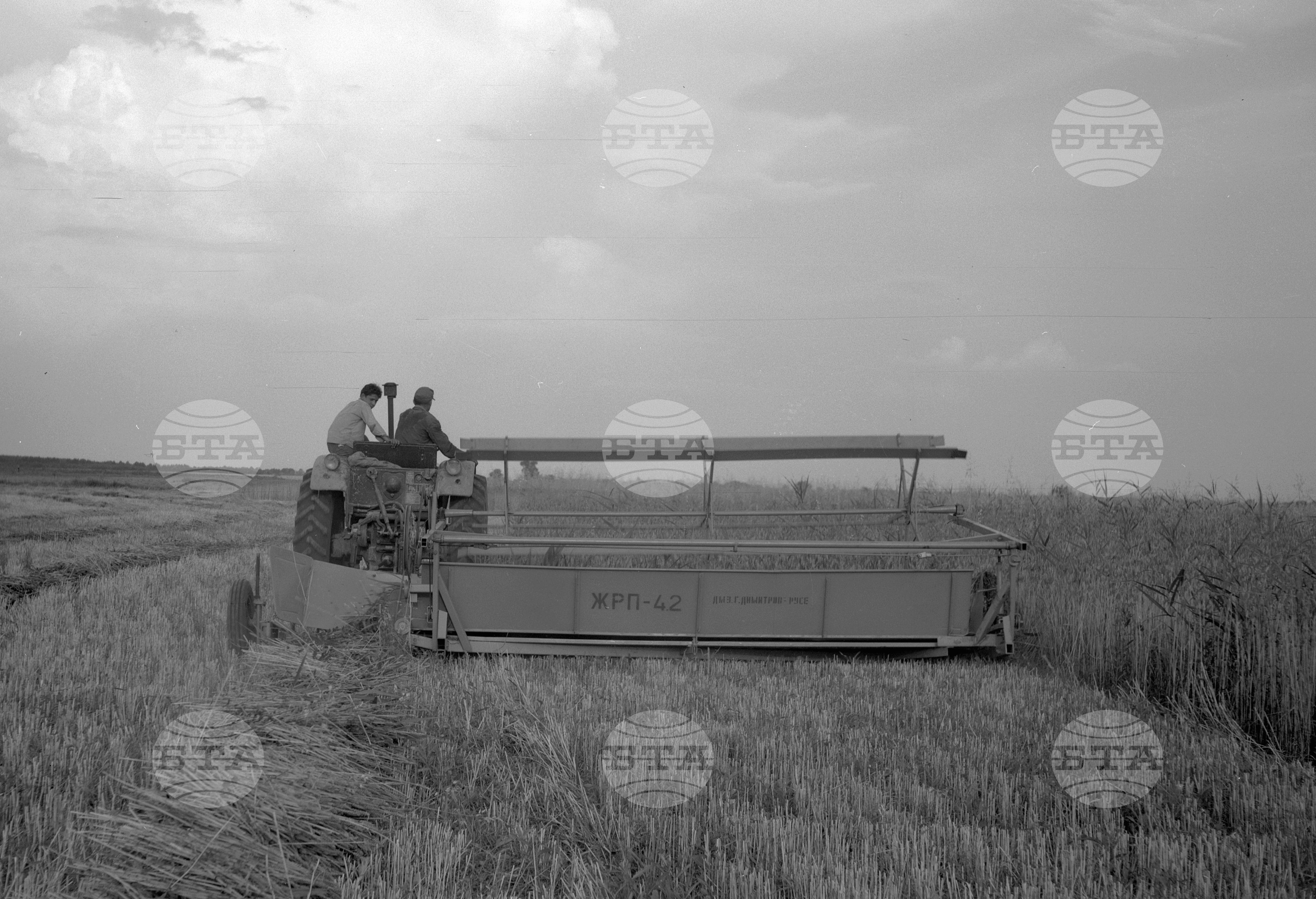 Жътва на пшеница - 1963