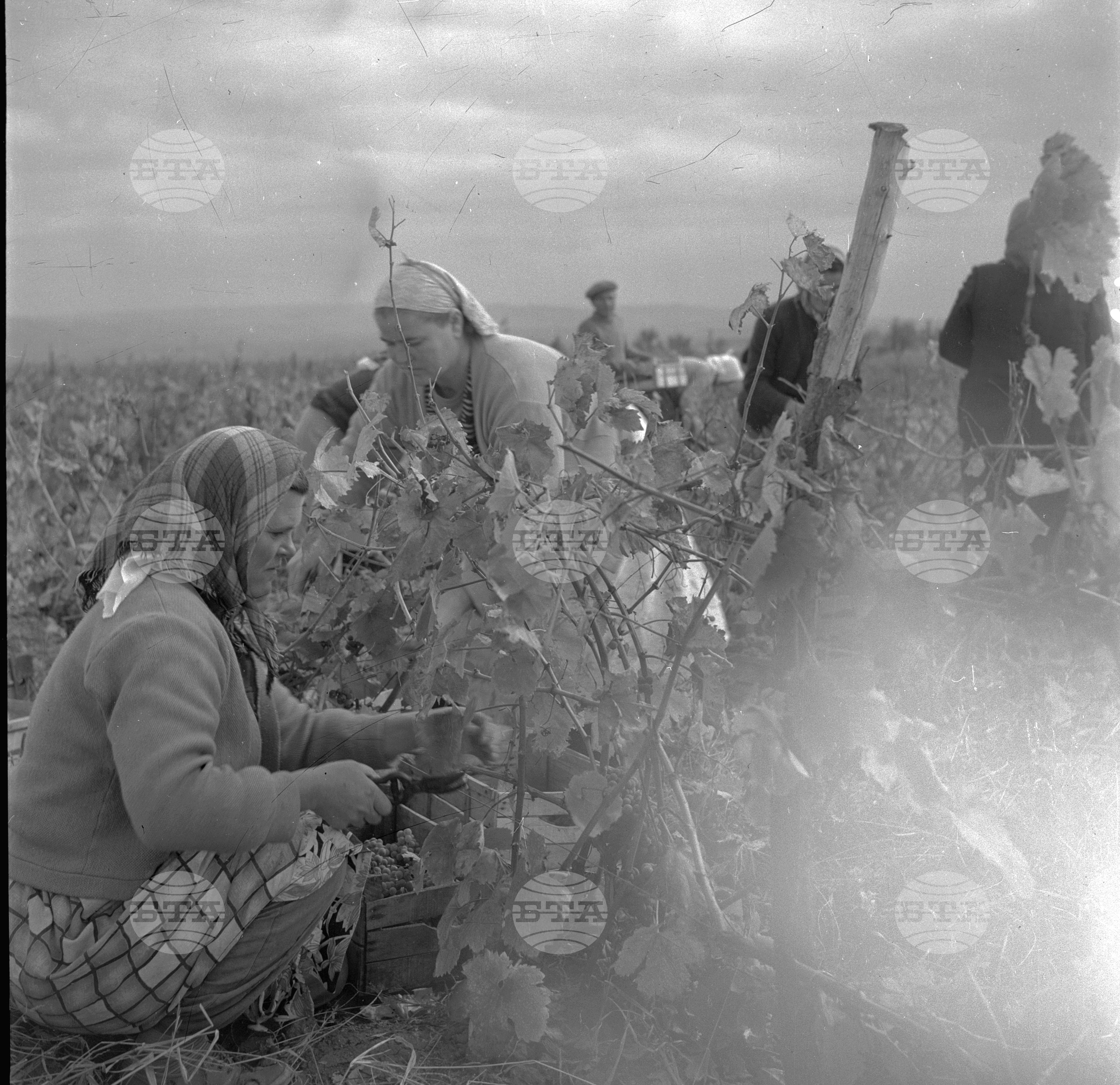 ТКЗС село Пирне, Бургаски окръг