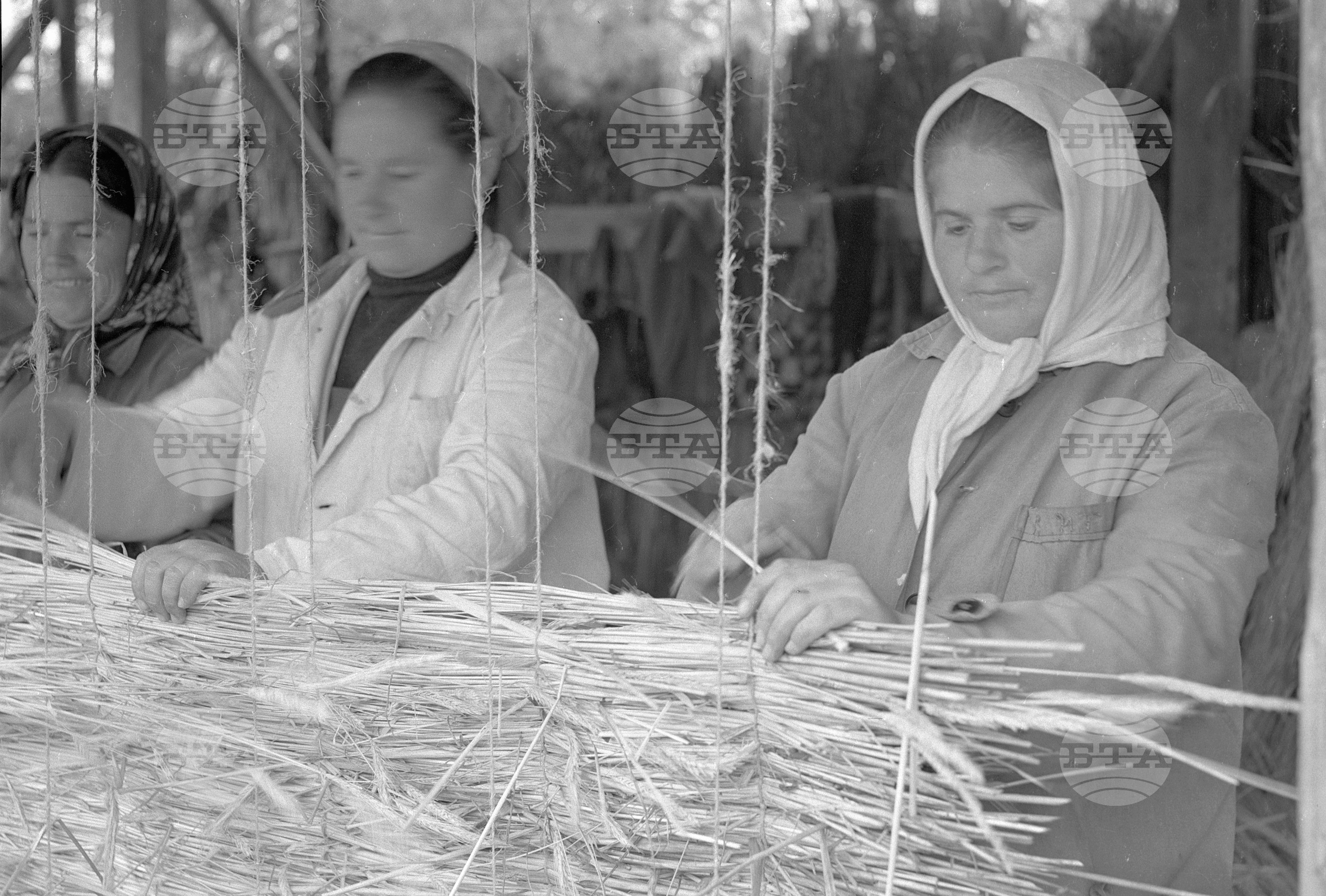Комплексна опитна станция - Сандански