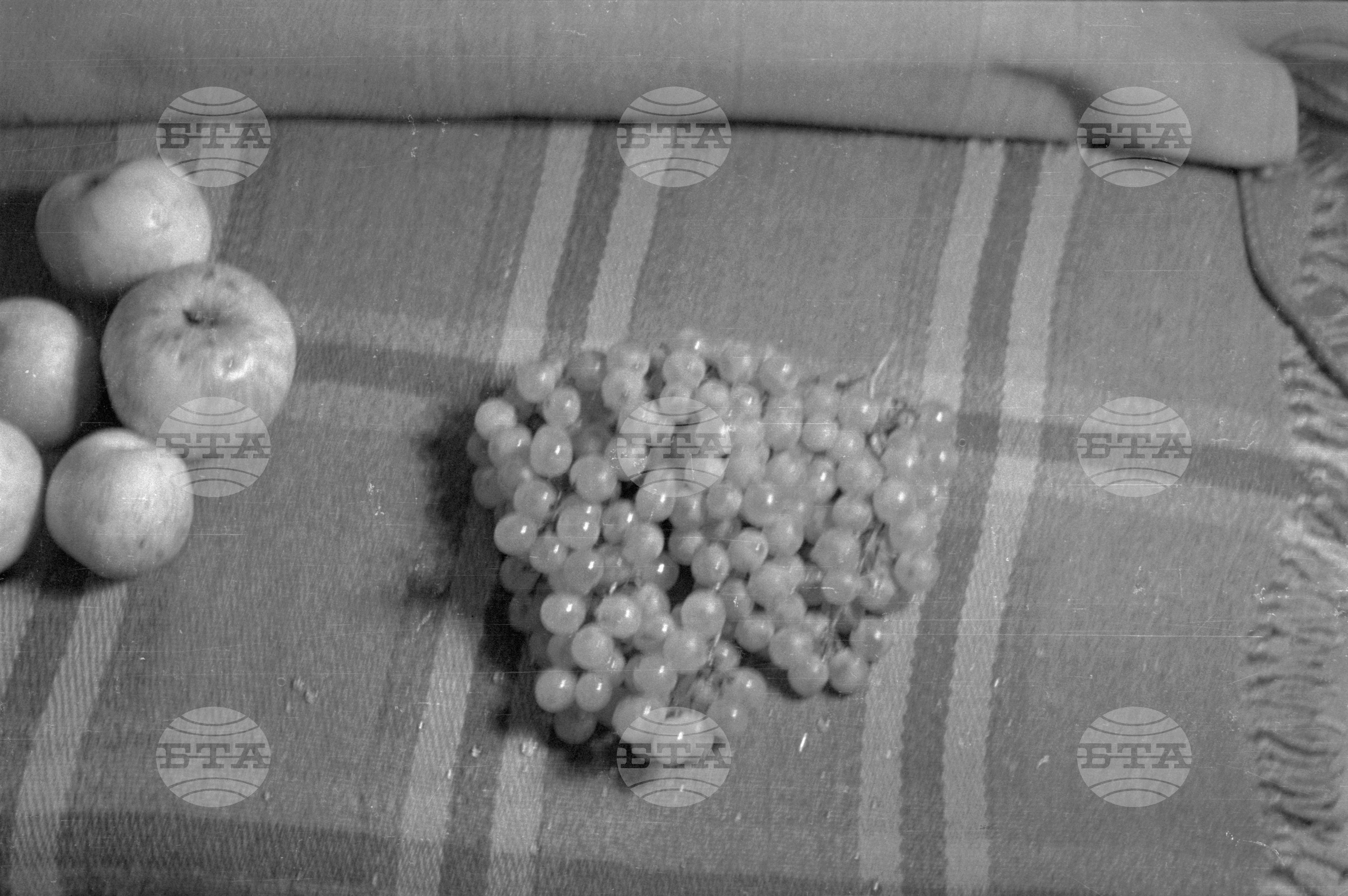 Из Кюстендилски окръг - септември 1962 година
