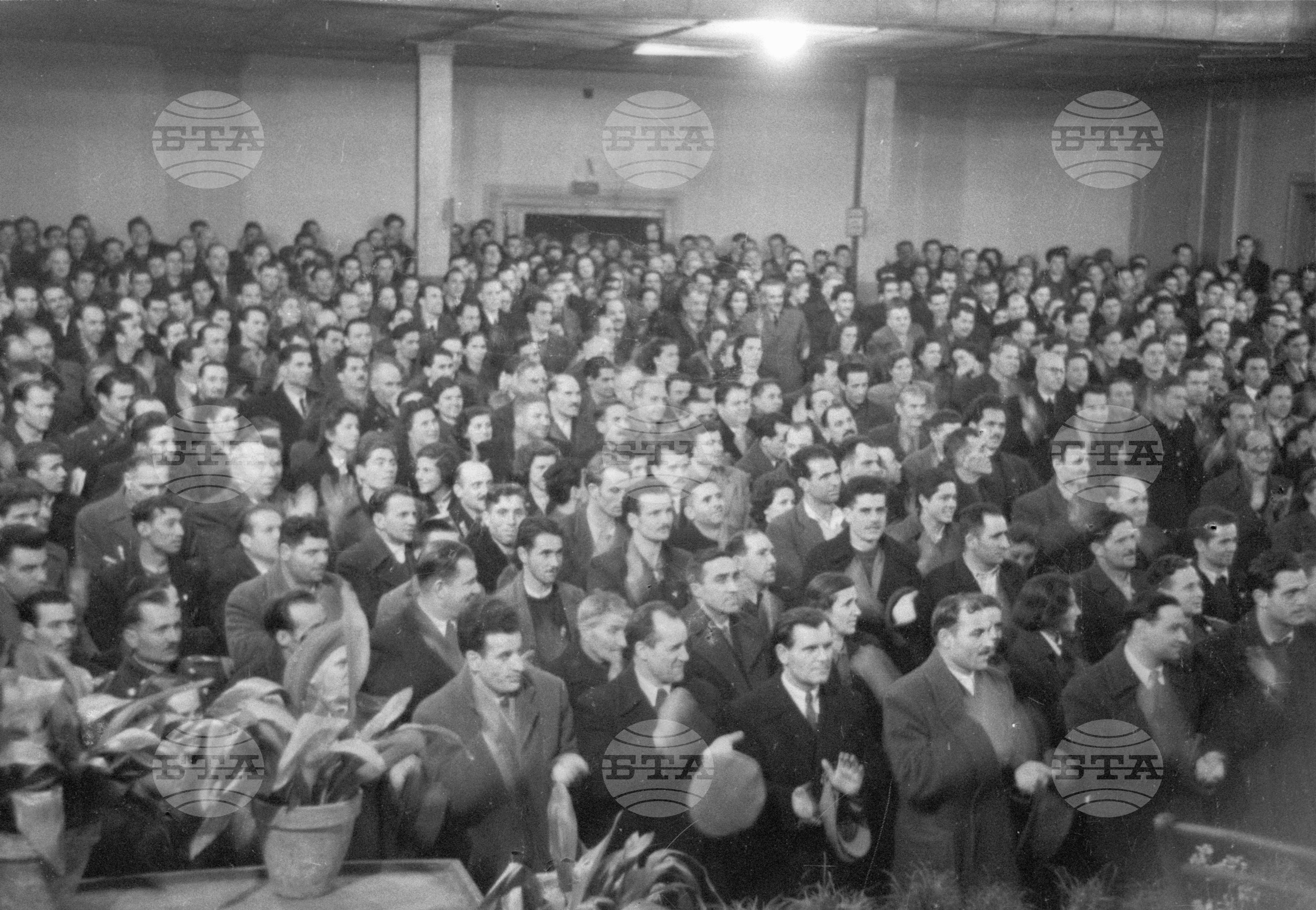 Околийска партийна конференция 1951 година
