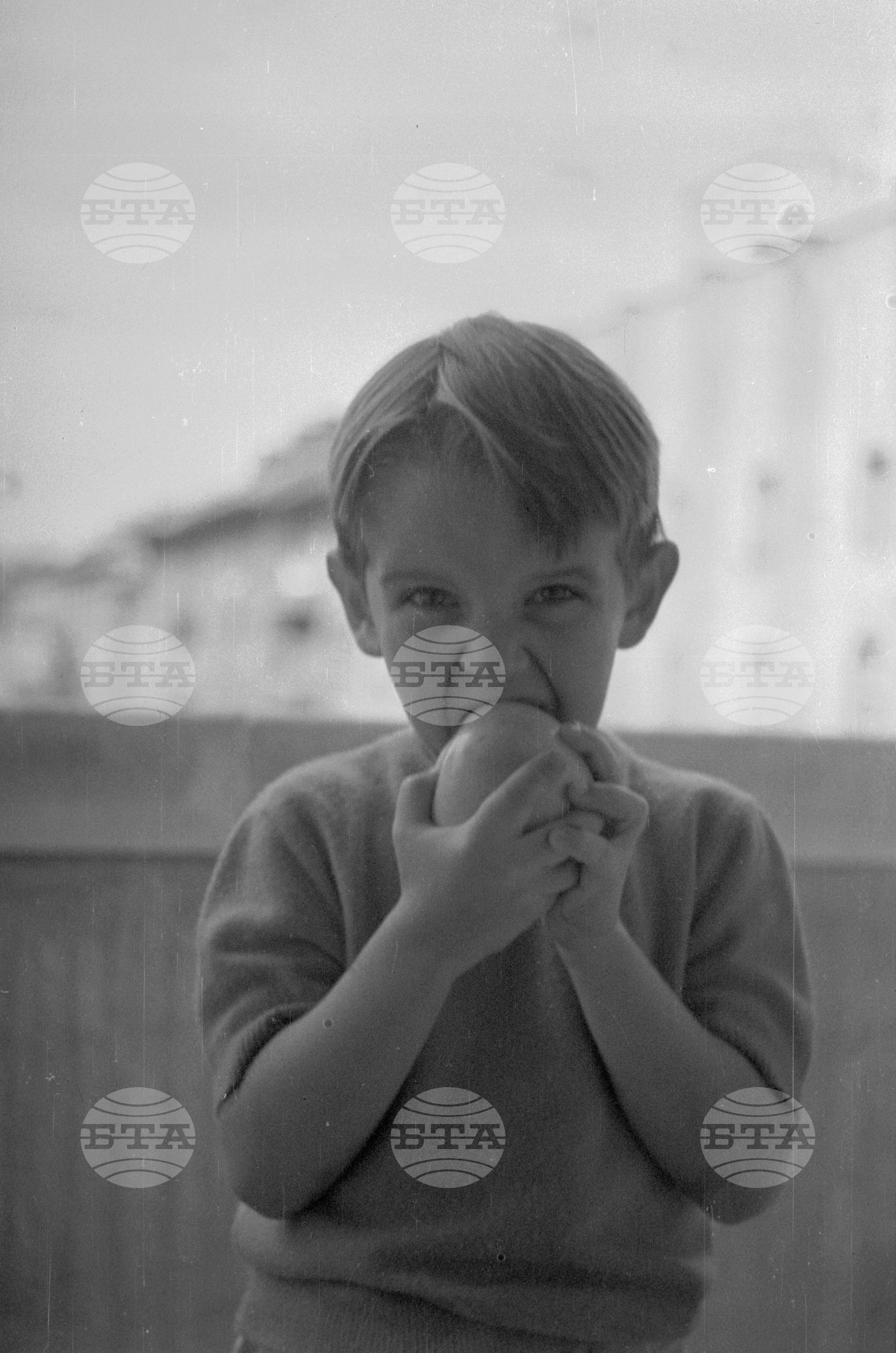 Из Кюстендилски окръг - септември 1962 година