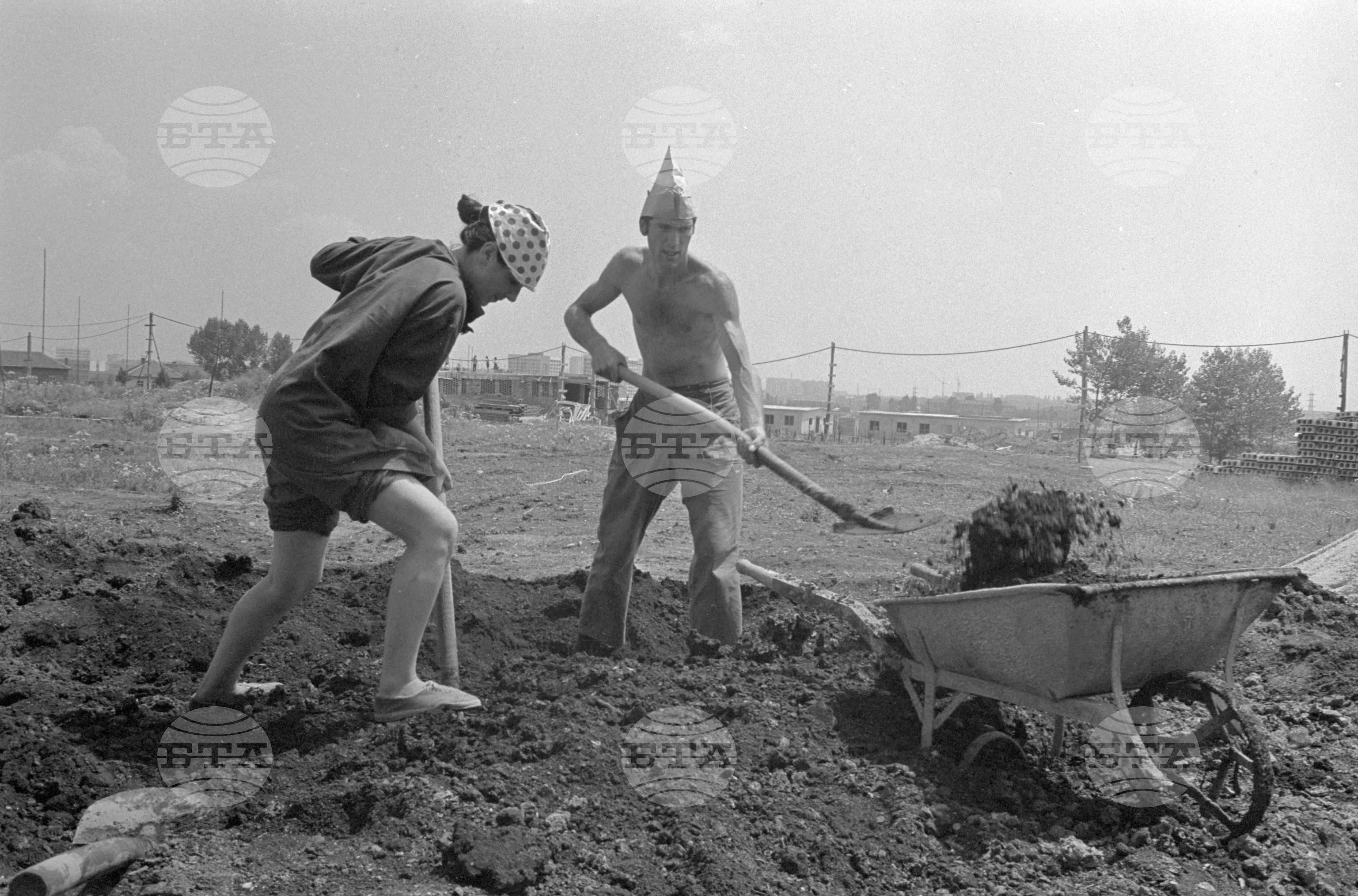 Национална студентска специализирана бригада "Христо Ботев" - 1972 година