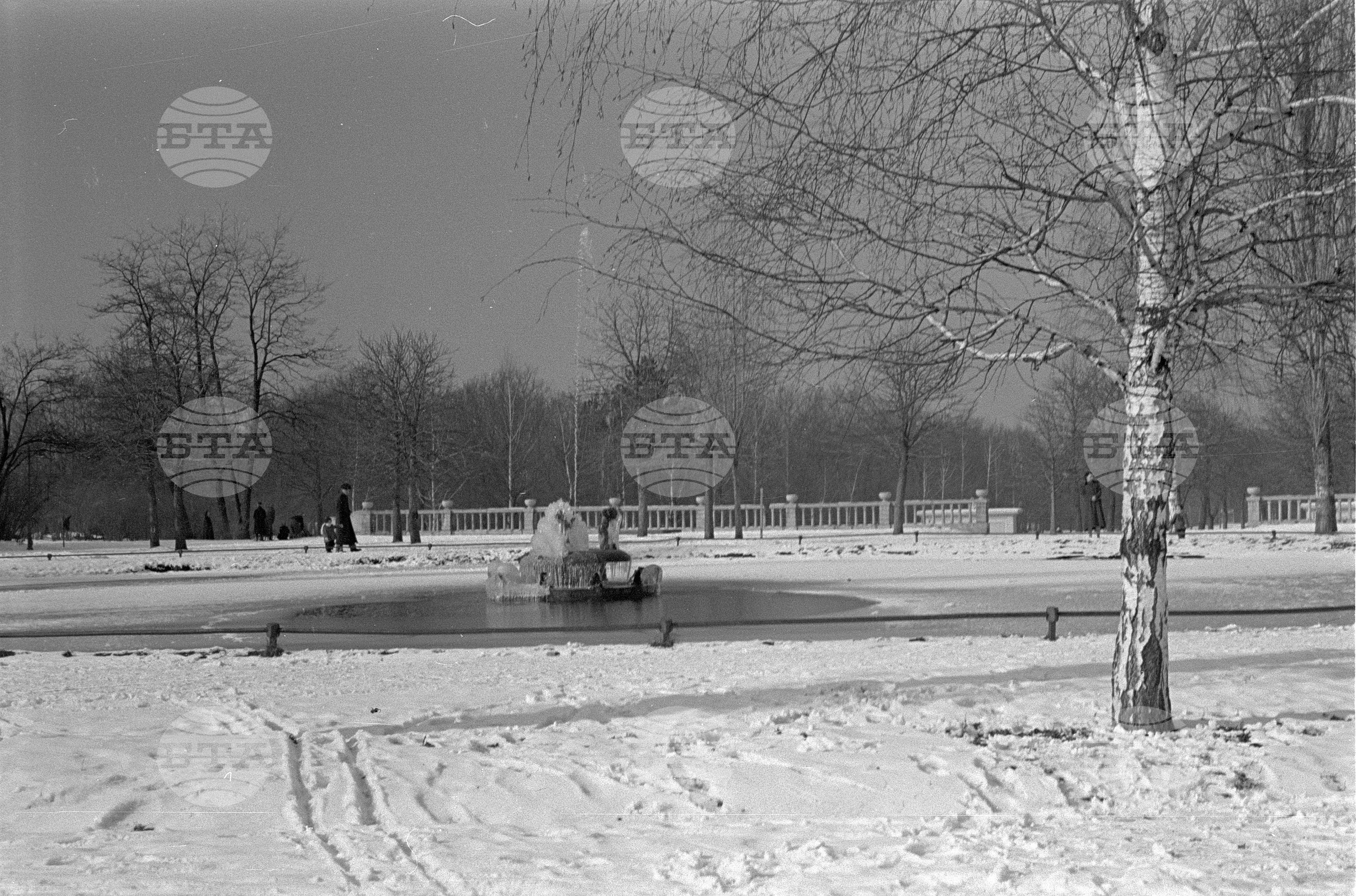 Зимни пейзажи от Парка на свободата в София - 1953 година
