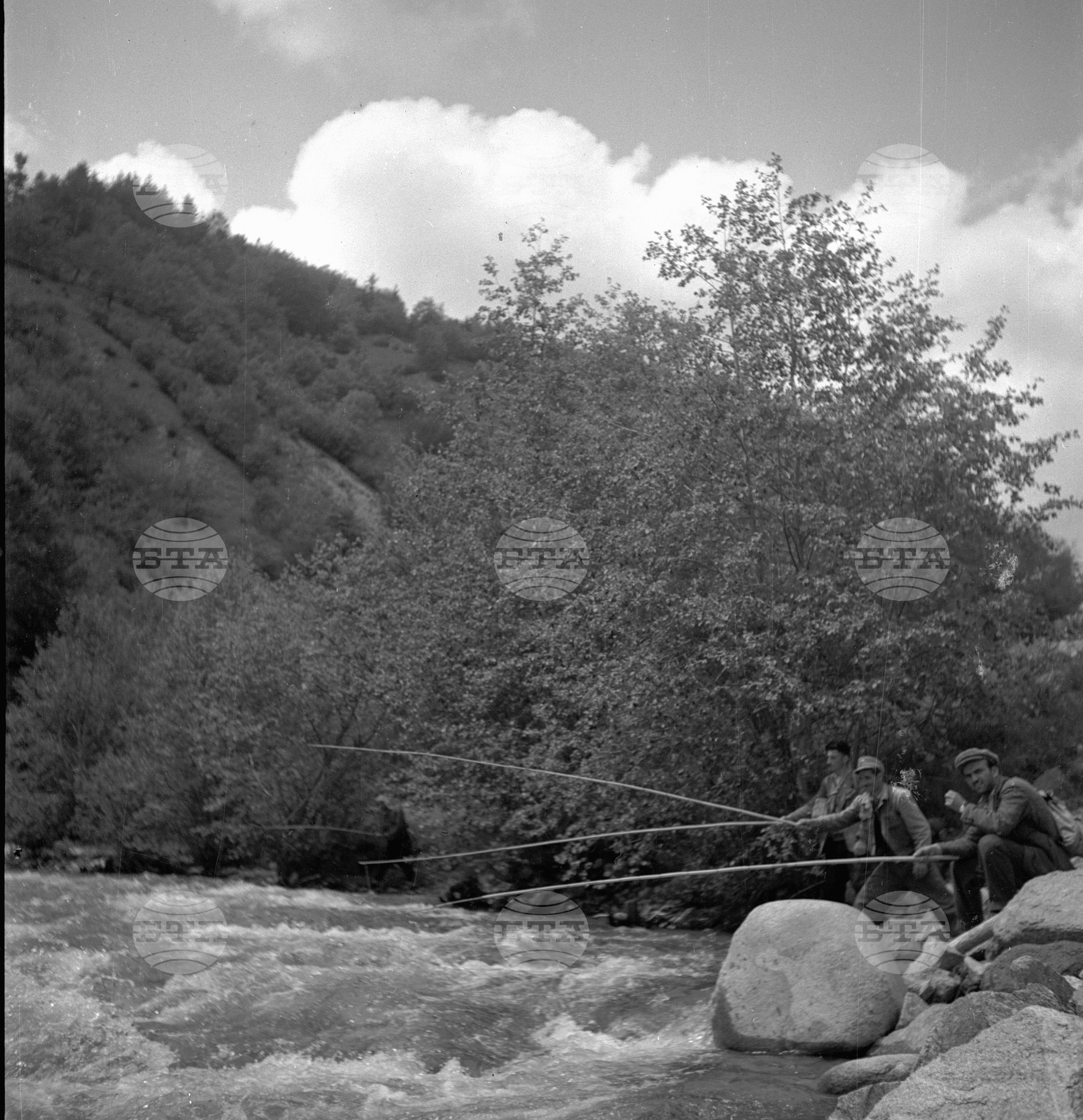 Дърводобив в държавни горски стопанства, 1951 - част 4