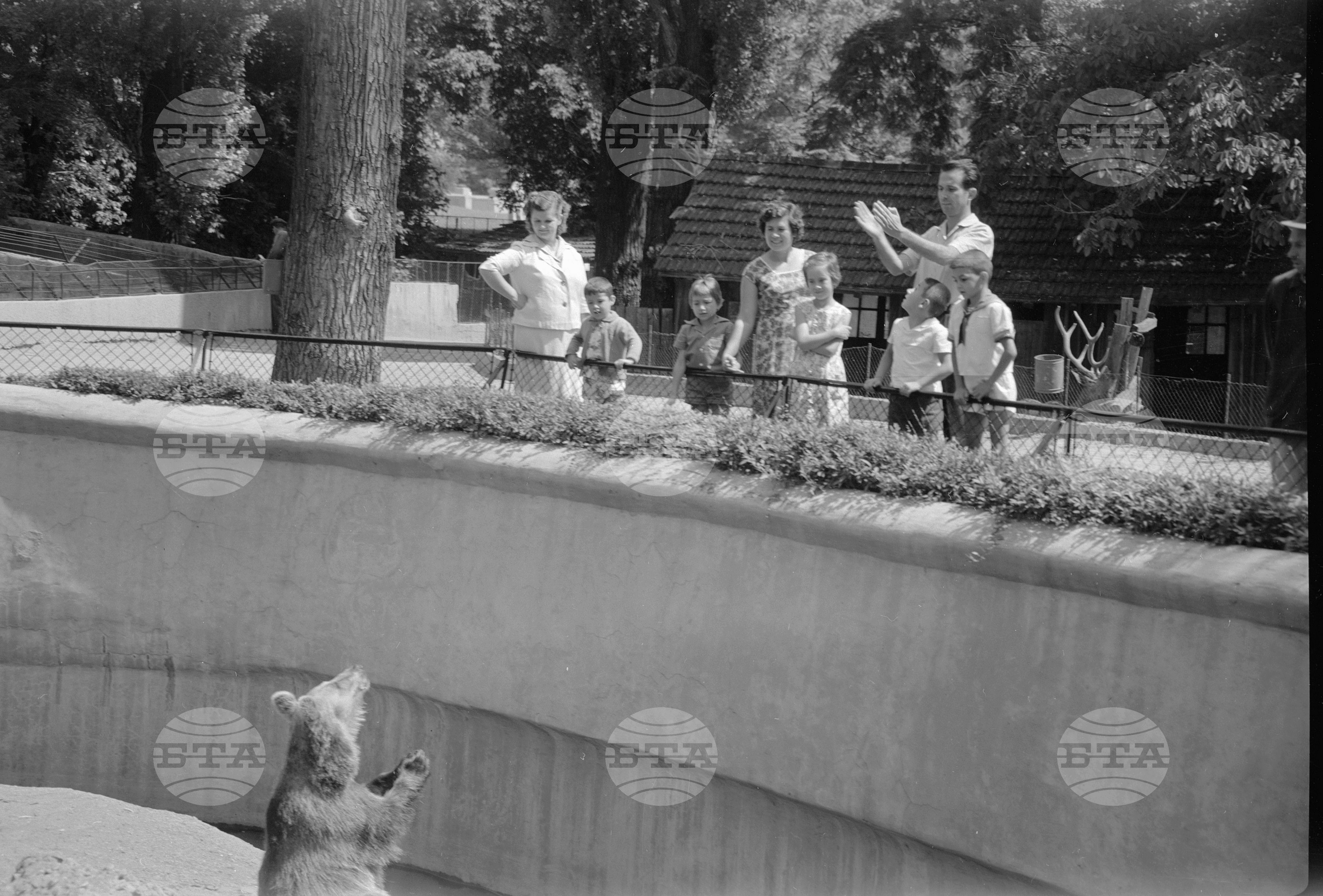 Зоологическа градина София - 1962 година