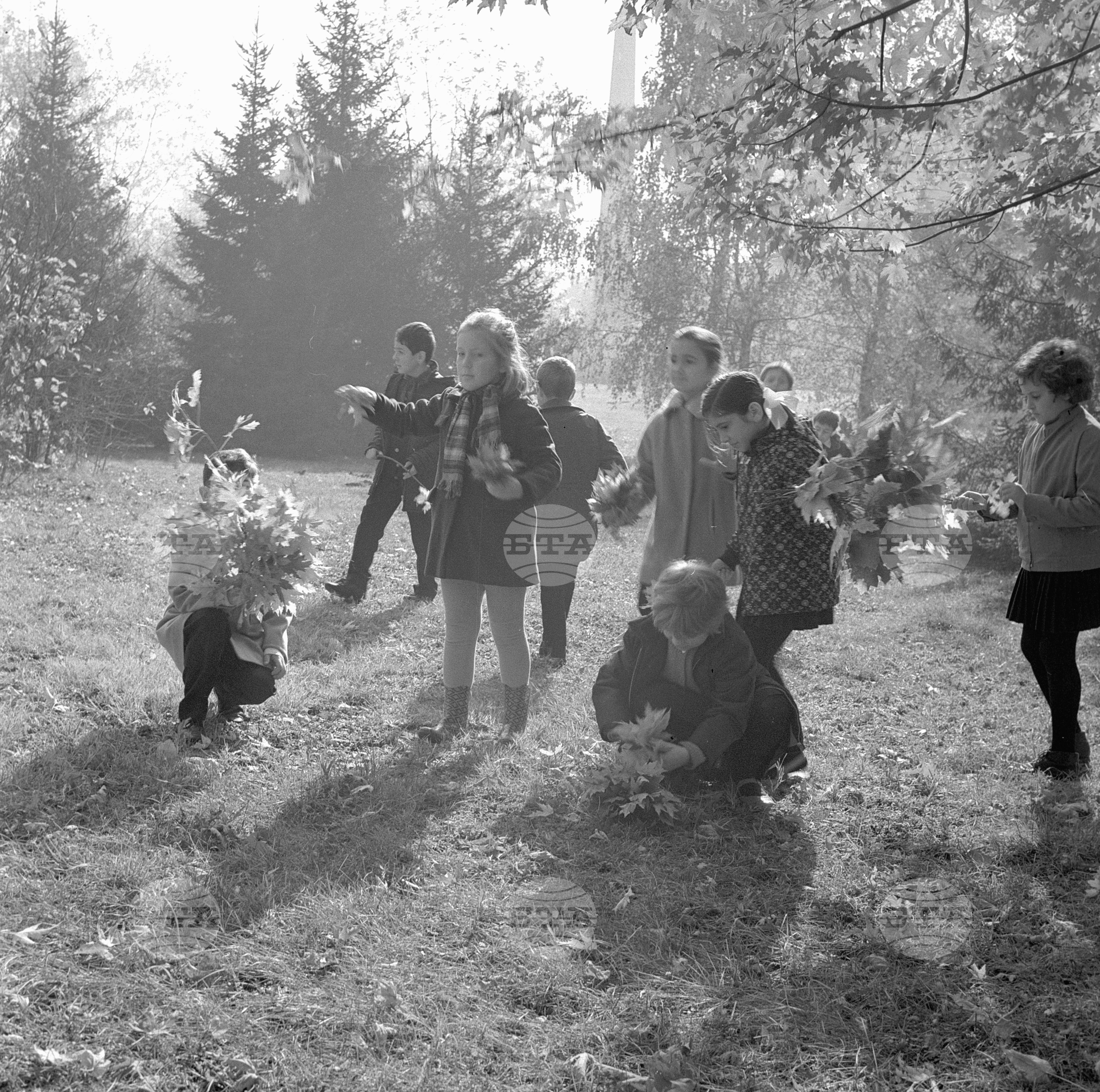 Есенни дни в парка на Свободата - София
