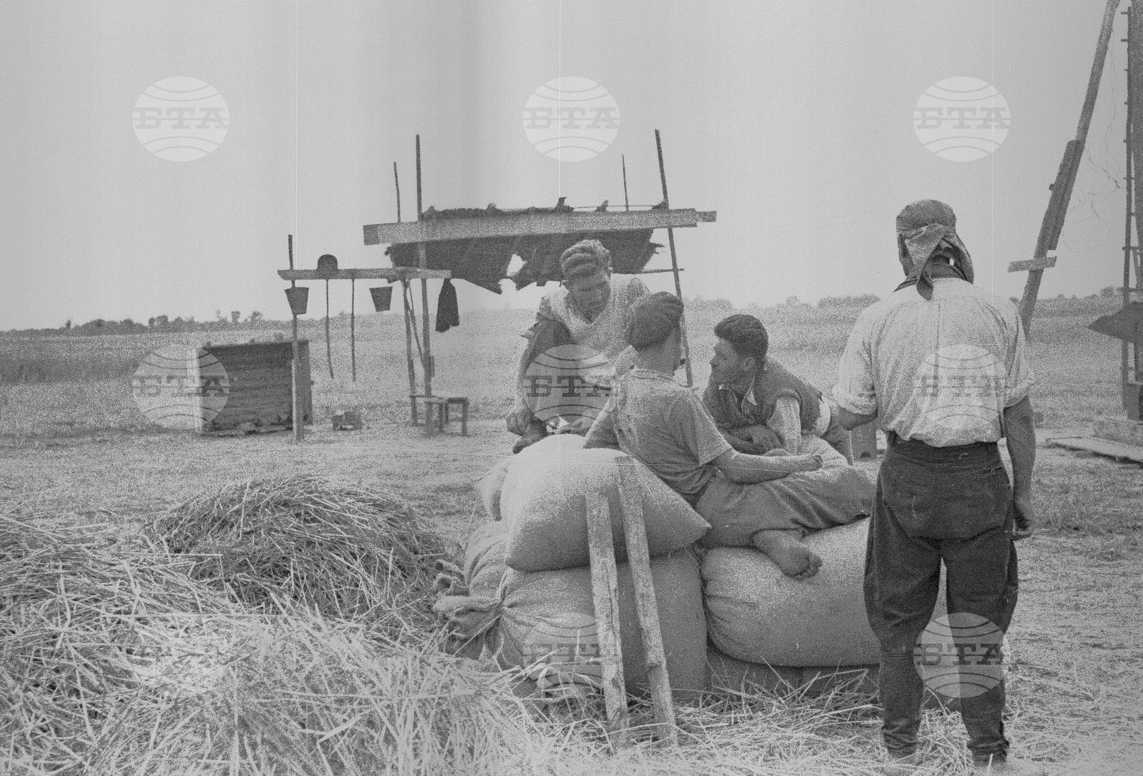 Откриване на гимназията в Перущица, 1951
