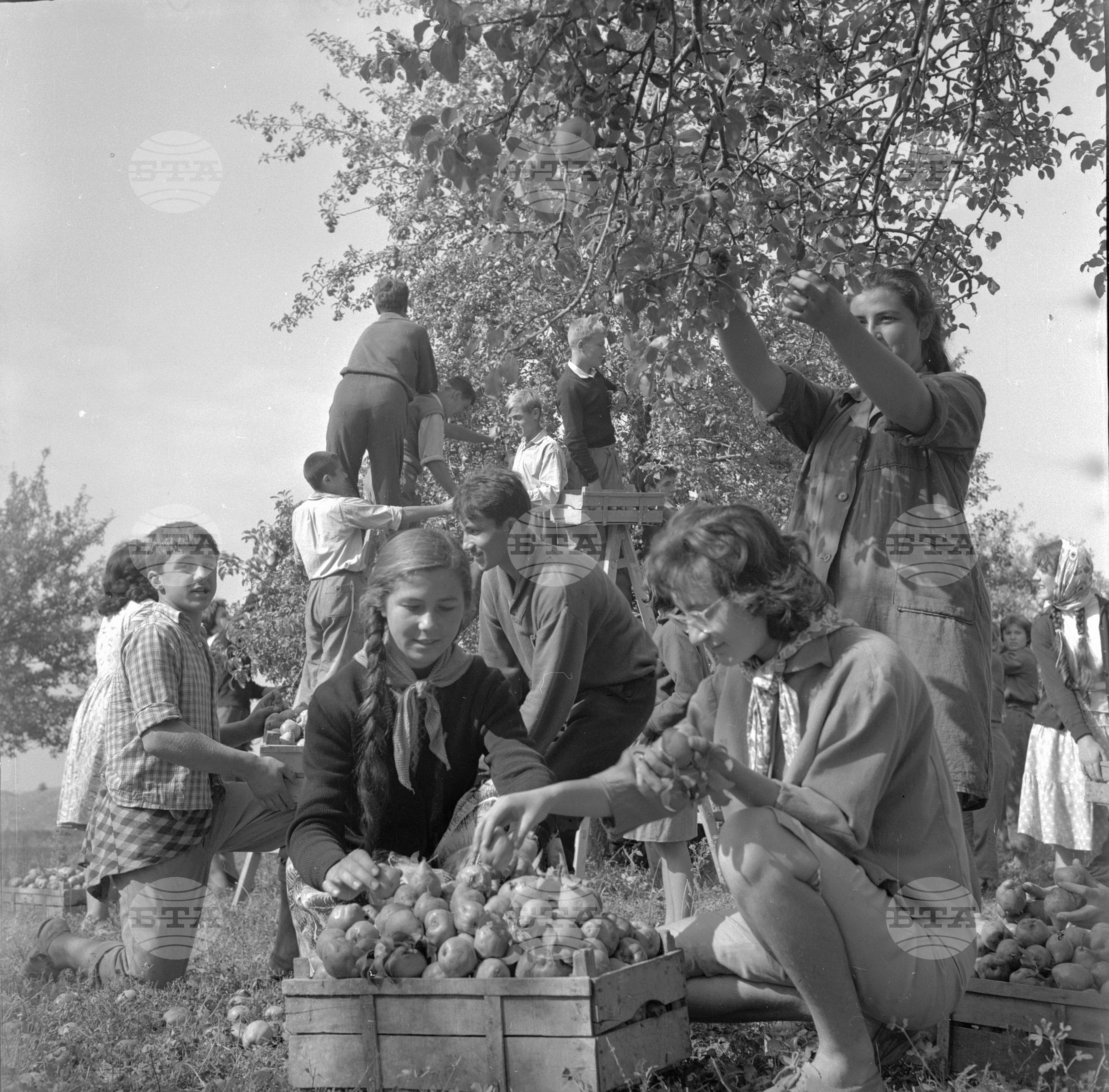На бригада 1962 година