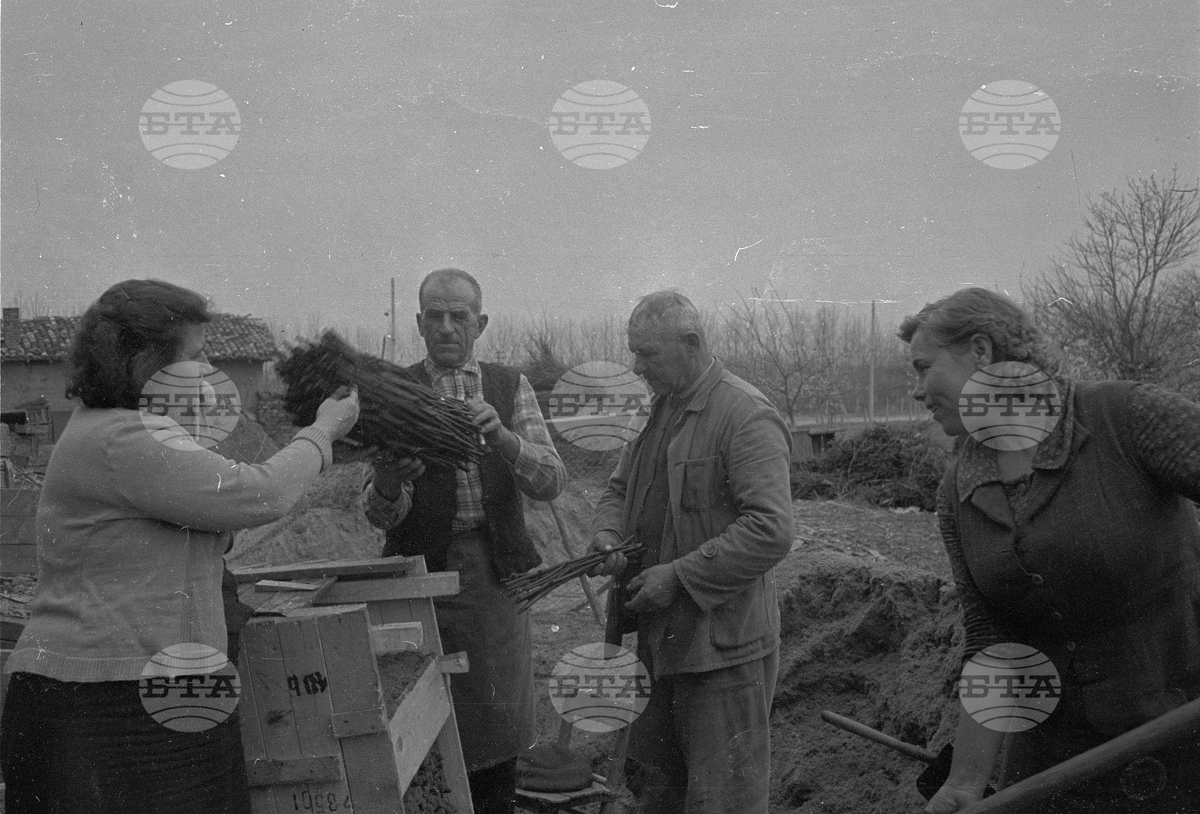ТКЗС (Трудово-кооперативно земеделско стопанство) "Камчийска долина" - Карлово
