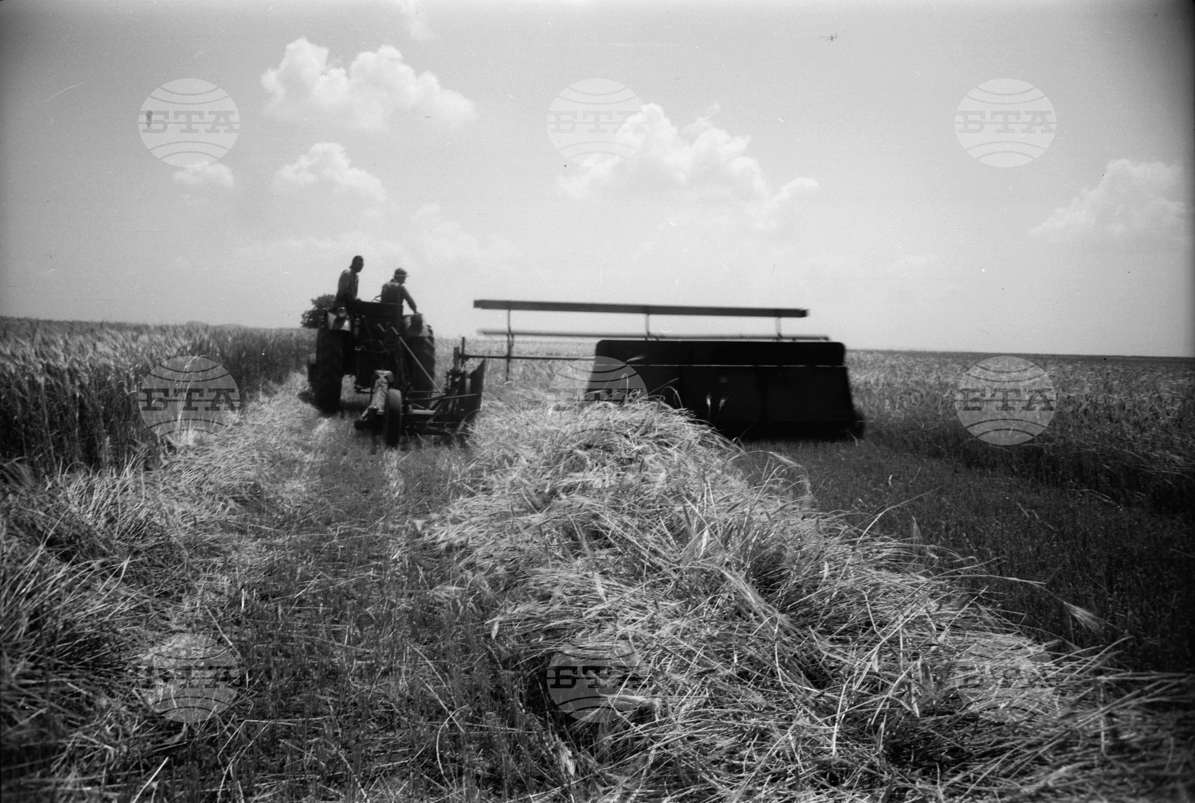 Из Търговищки окръг 1963 годишна