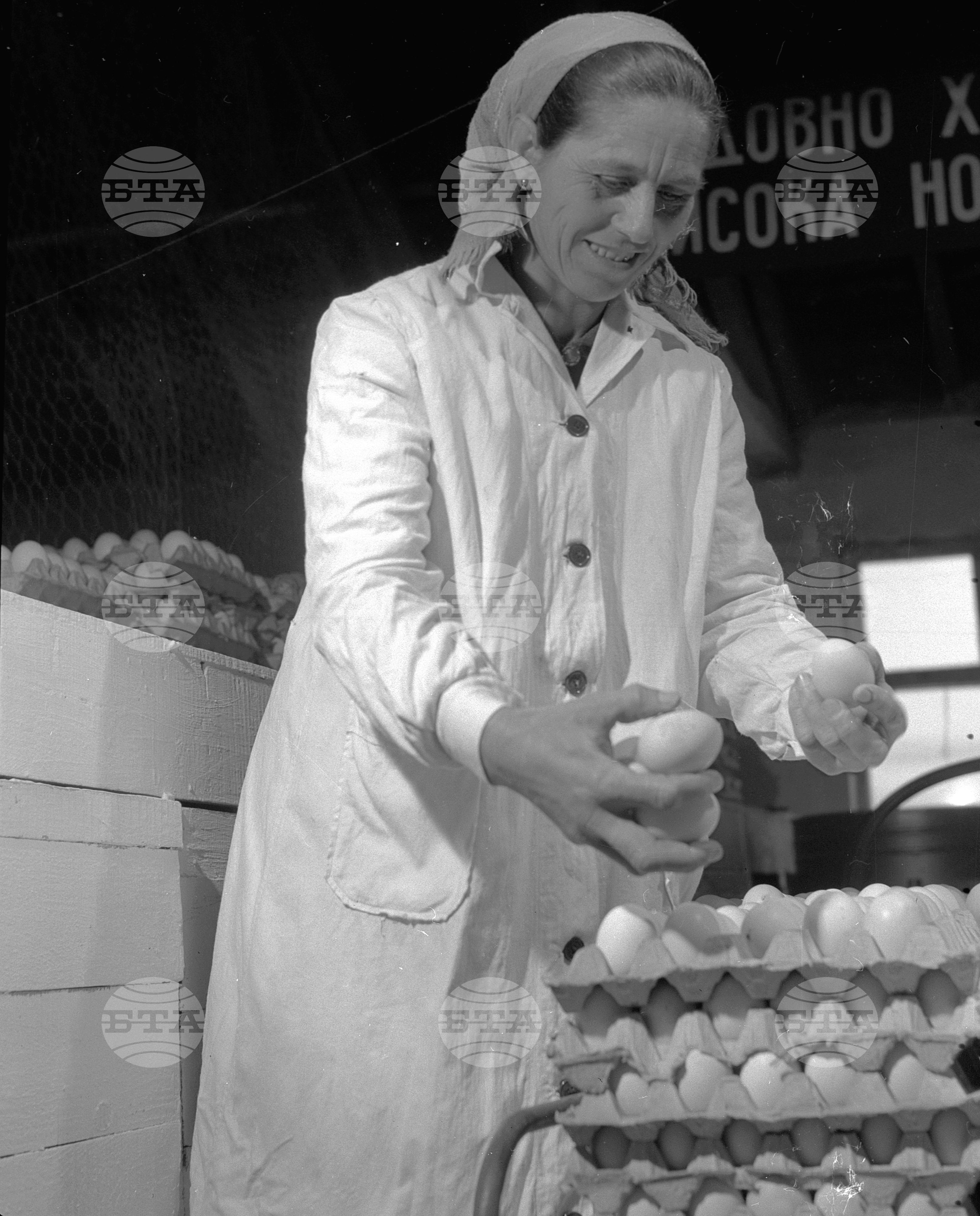 При птицегледачката Атанаска Козарска